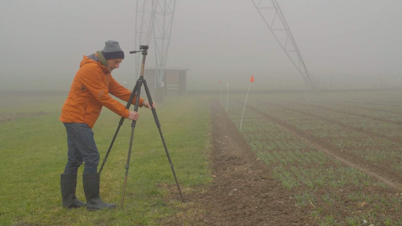 High-Throughput, In-Field Screening of Photosynthetic Efficiency in Crop Plants Using an Autonomous Robot