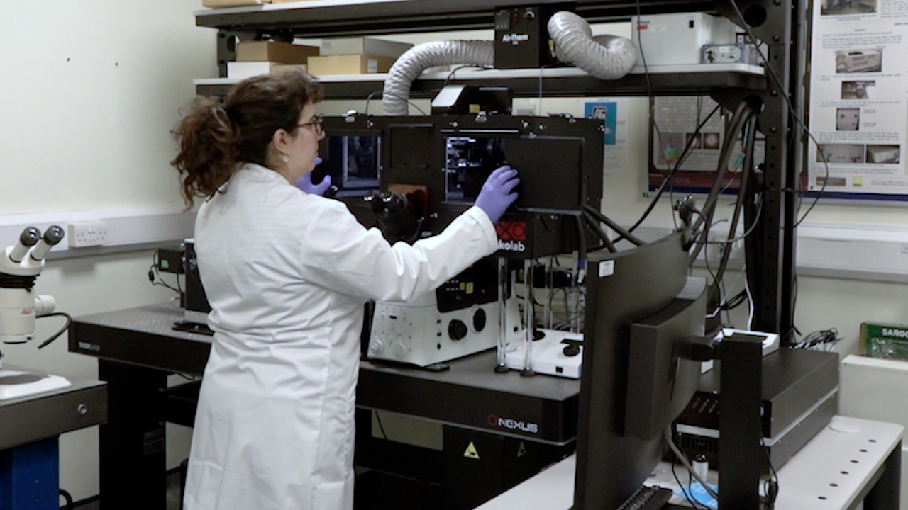 Whole-cell Super-Resolution Imaging via DNA-PAINT on a Spinning Disk Confocal with Optical Photon Reassignment