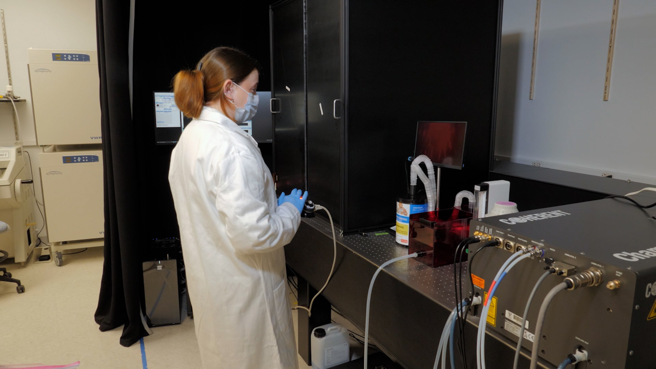 Intravital Two-Photon Imaging of Touch Sensory Axon Morphology in Mouse Skin