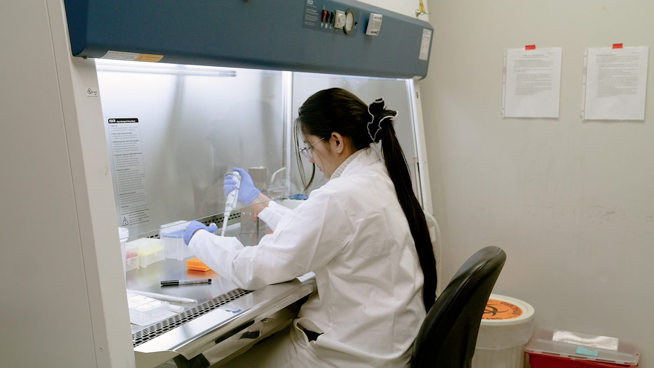 Isolation and Quantification of Axonal mRNAs Using Porous Membrane Inserts and RTddPCR