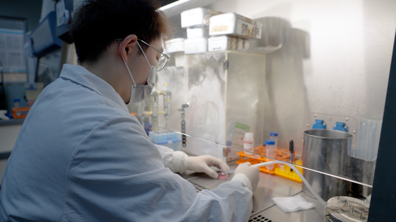 MeRIP-qPCR Assay for Detecting m6A Modification Levels of Specific RNA in Osteosarcoma Cells