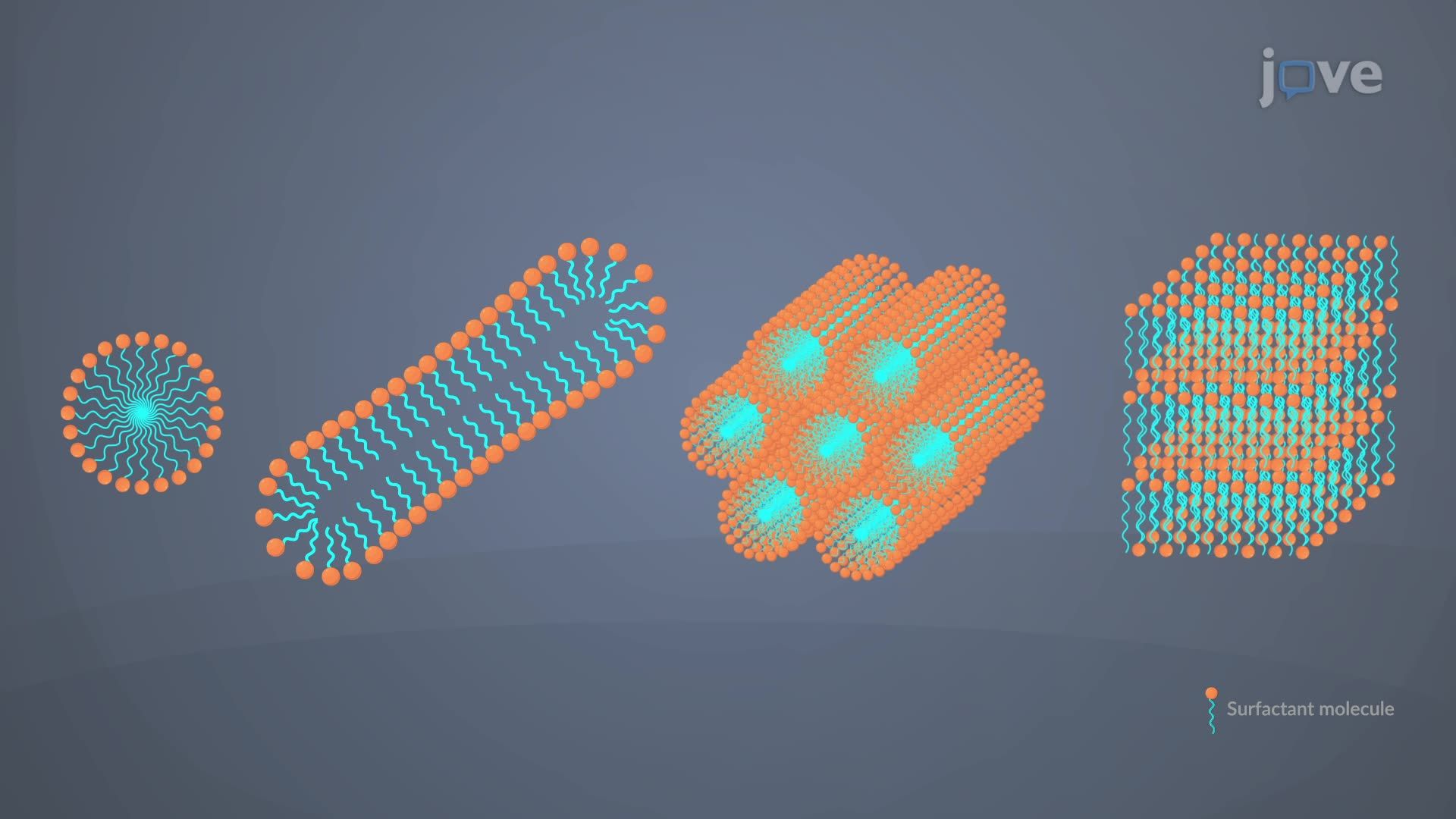 Macromolecules and Self Assembly in Macromolecules and Self Assembly: 3