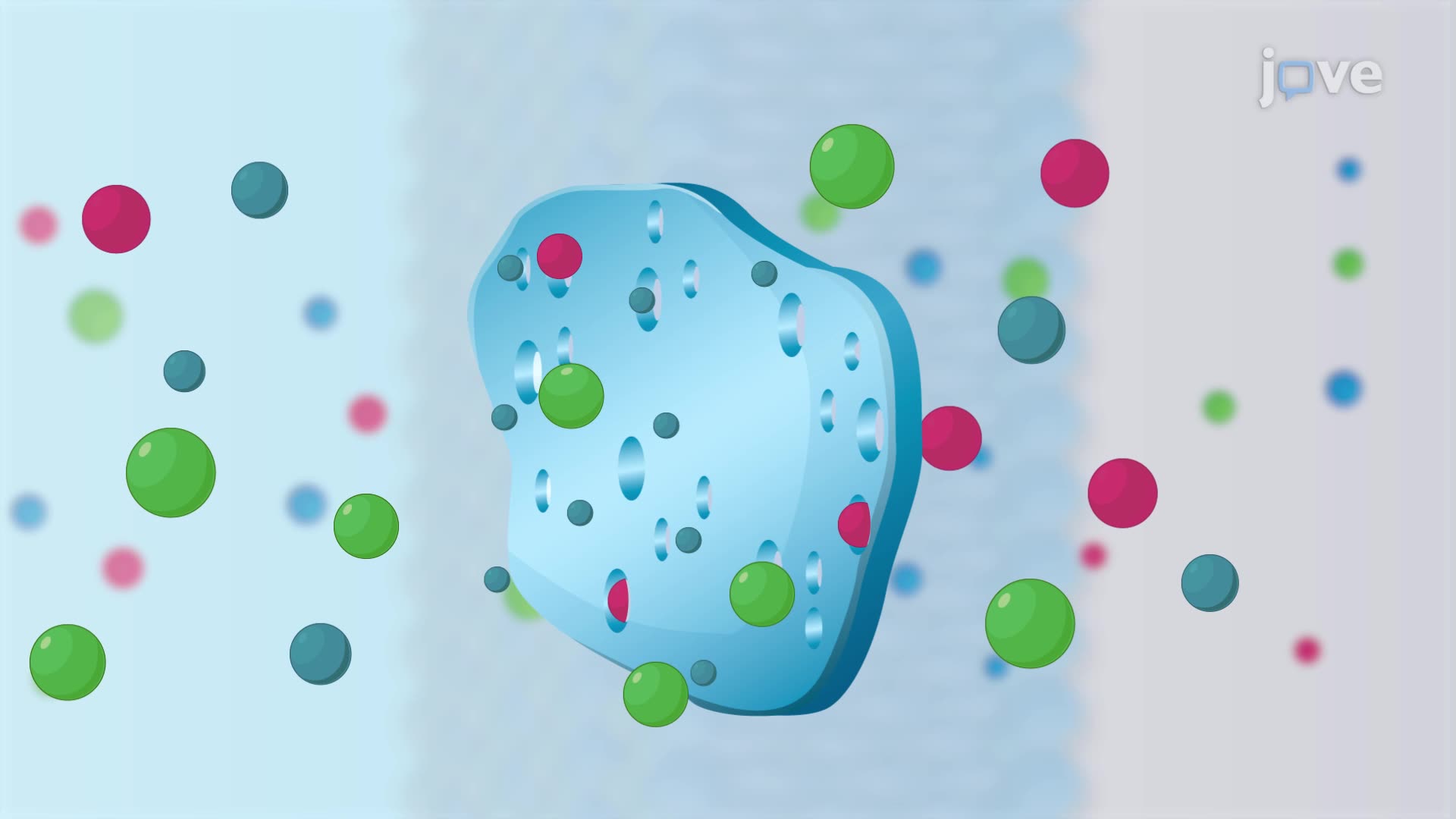 Cell Membrane - From Molecules to Organisms: Structures and Processes ...