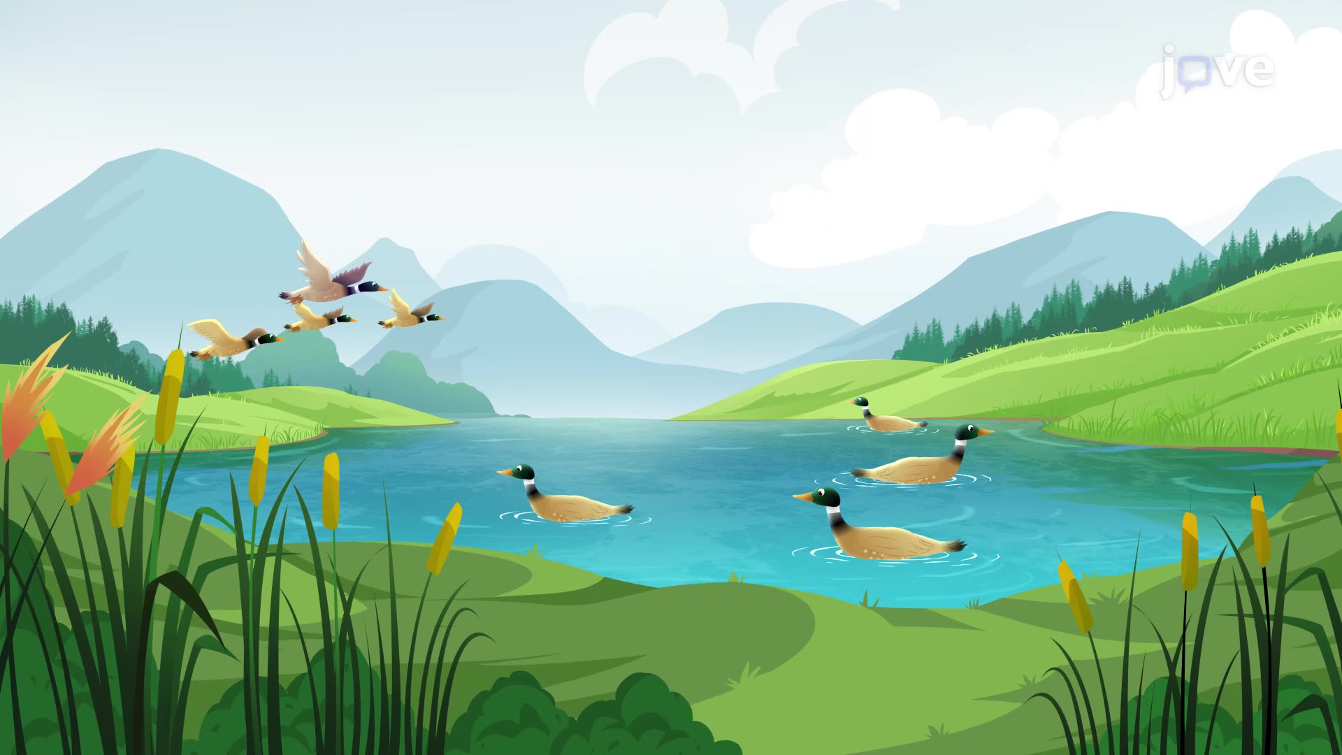 Population Growth Patterns - Life Science | K12