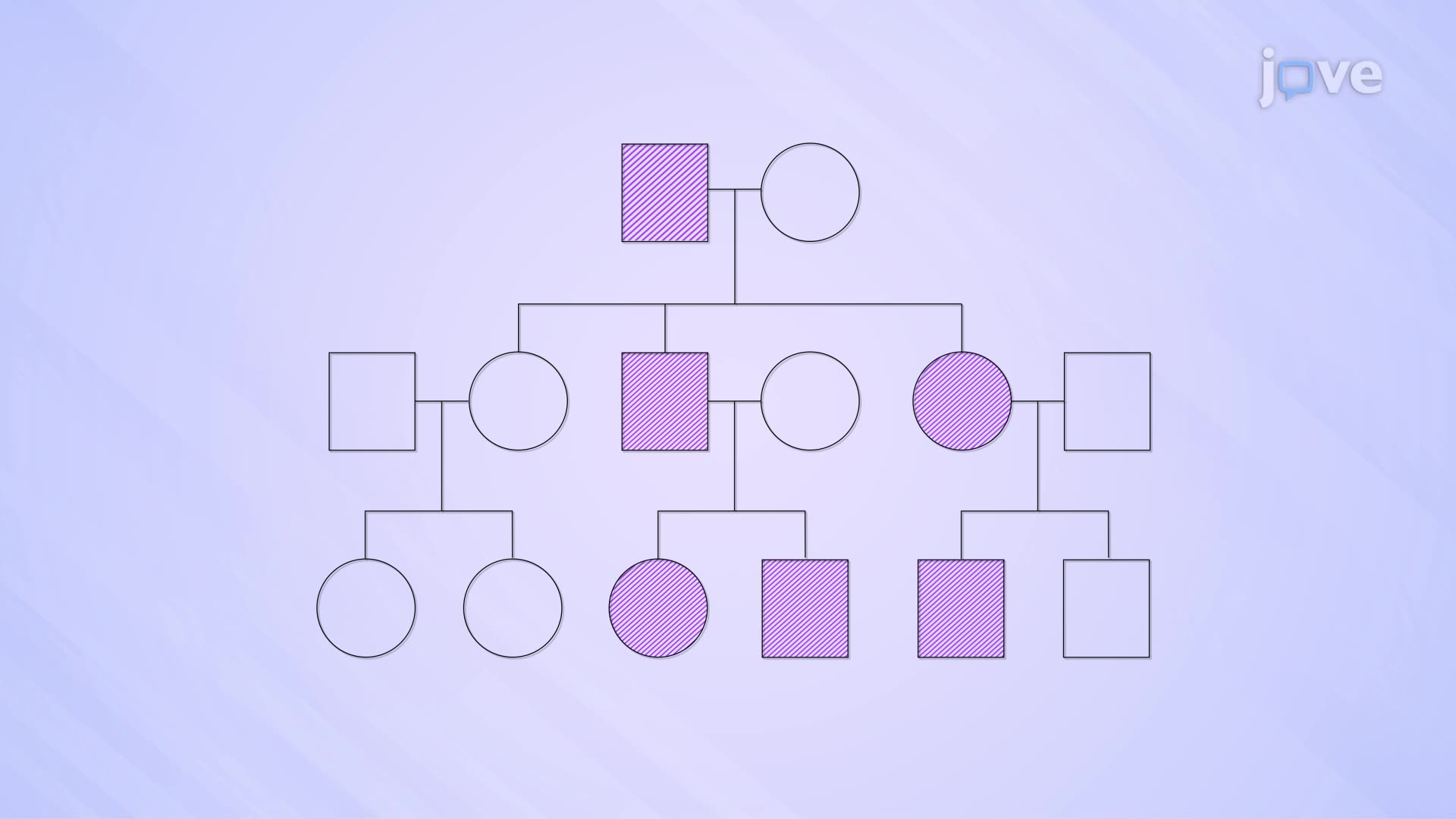 Pedigree Science Example Small Pedigree - Growth, Development, and Reproduction of Organisms - JoVE K12