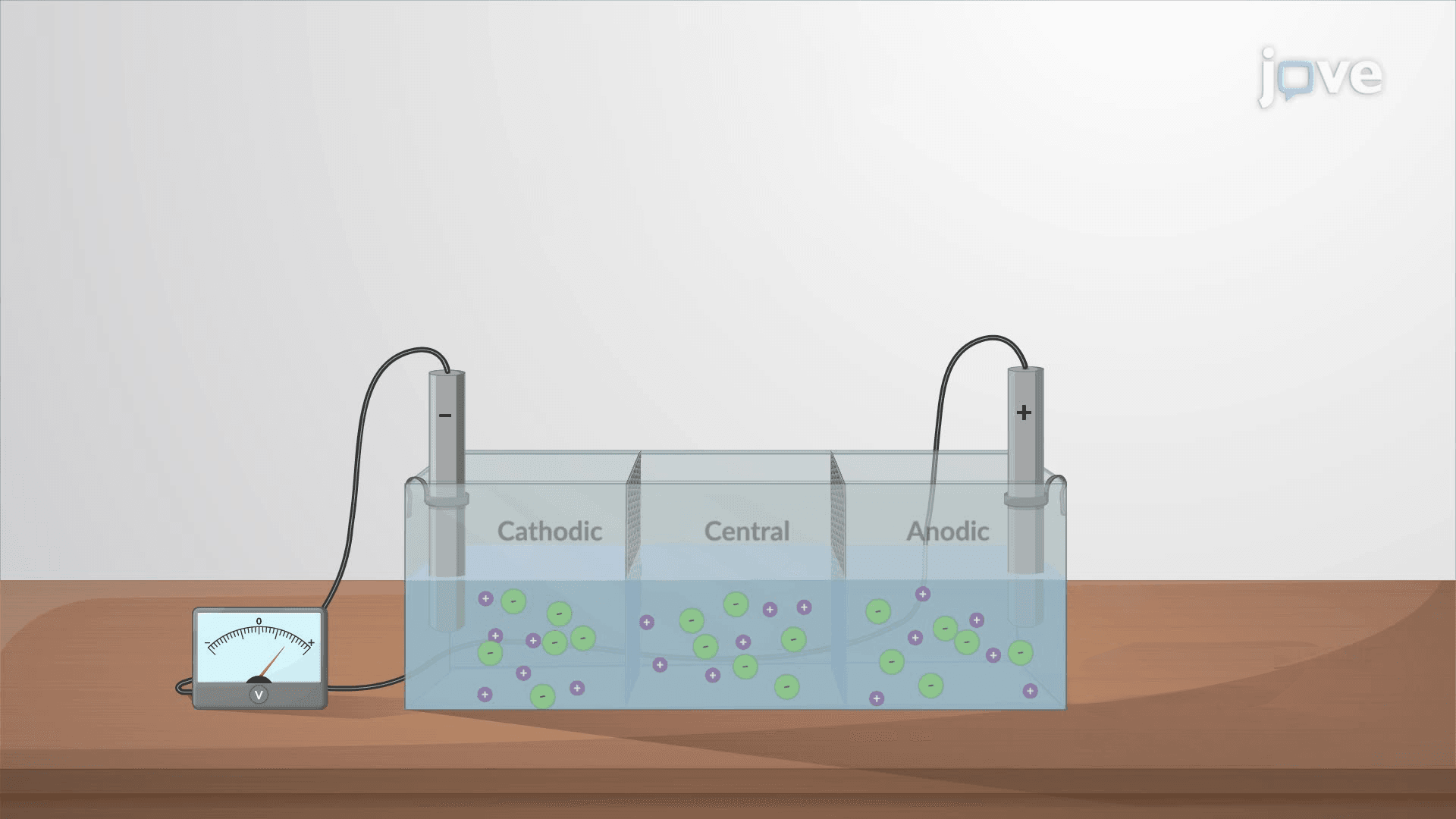 Transport Number in Physical Chemistry | JoVE Core
