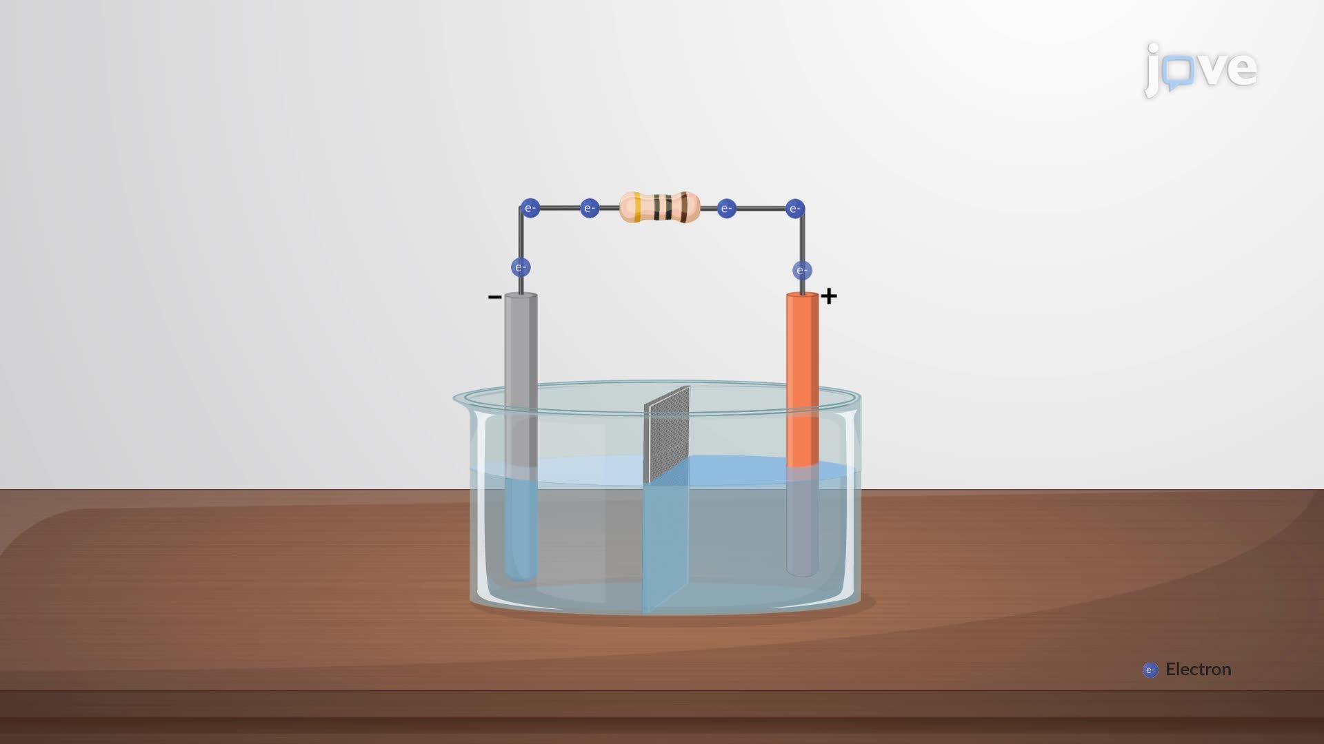 Electrochemical Cells