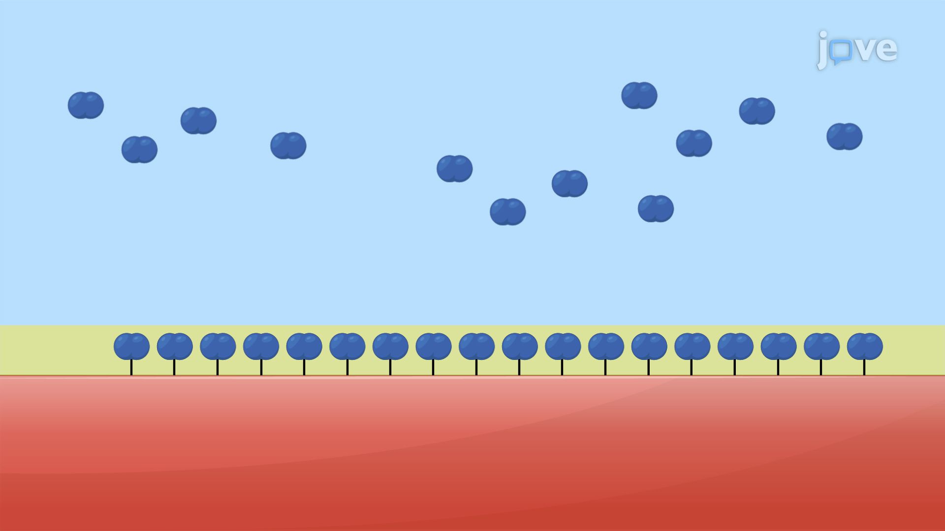 Adsorption of Gases on Solids