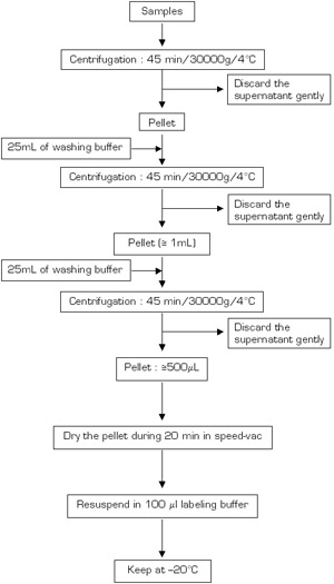 Figure 3b