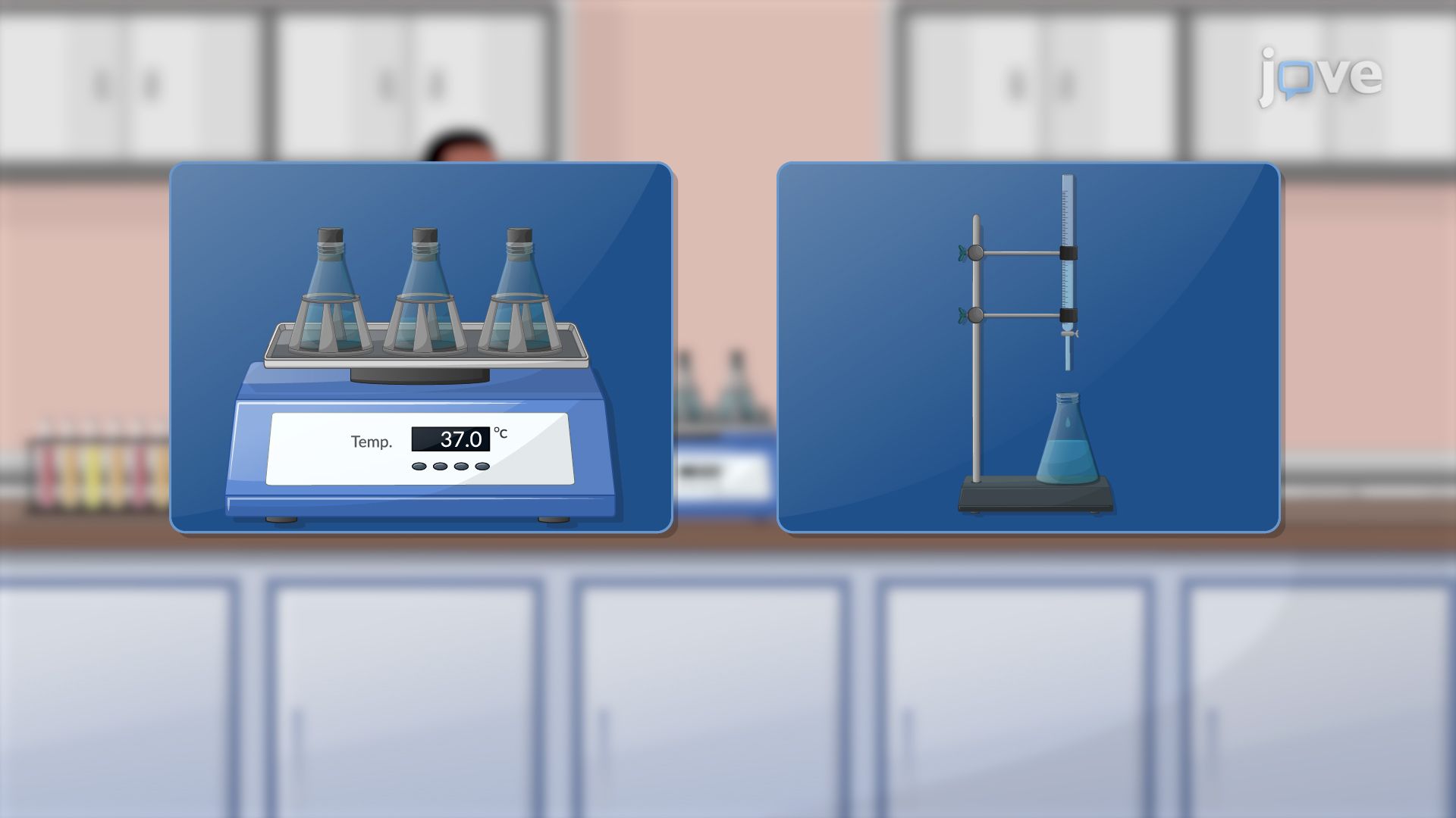 Bioavailability Enhancement: Determination and Conceptual Approaches in Overcoming Bioavailability Problems