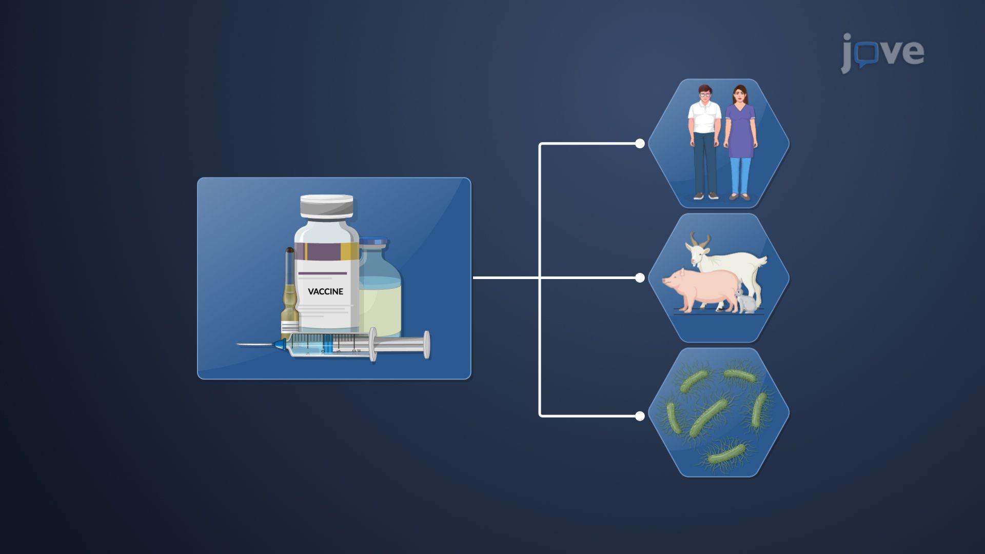 Drug Products: Biologics, Biosimilars and Interchangeables