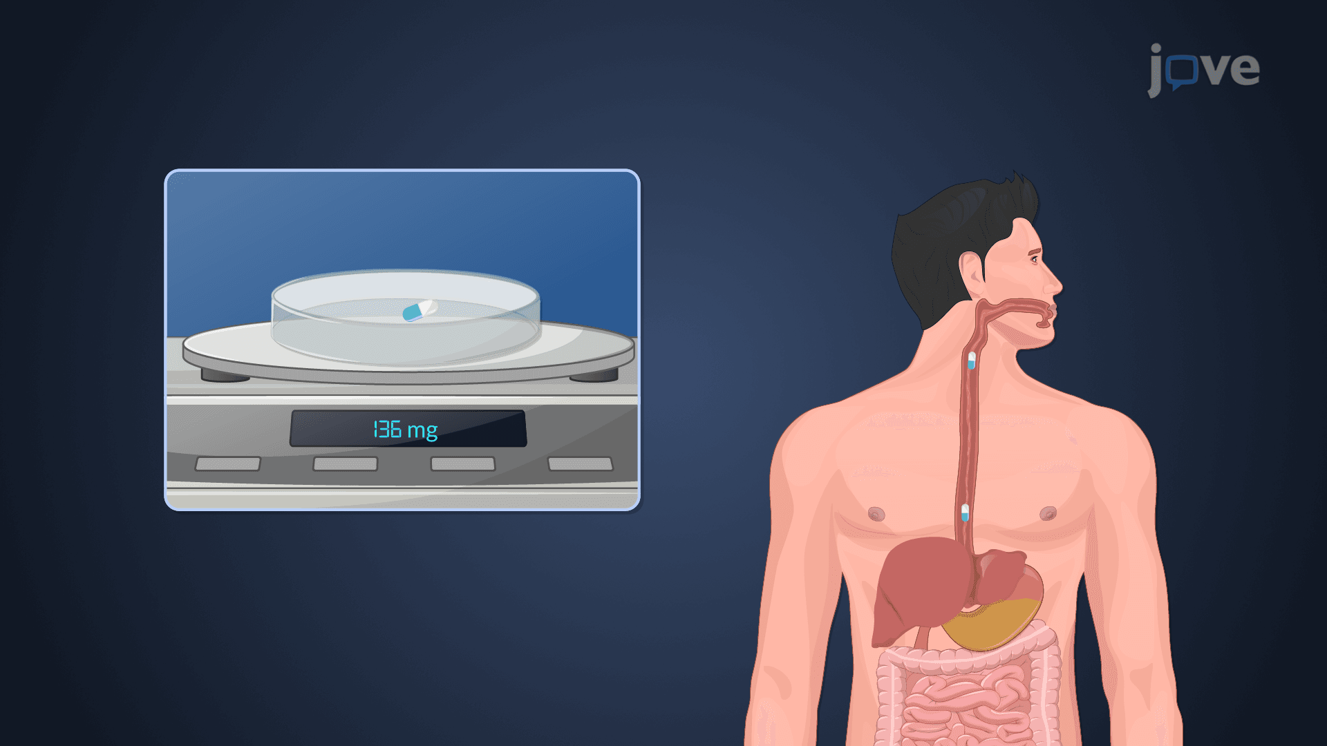 Formulation and Manufacturing Process: Physical Attributes of Generic Tablets and Capsules