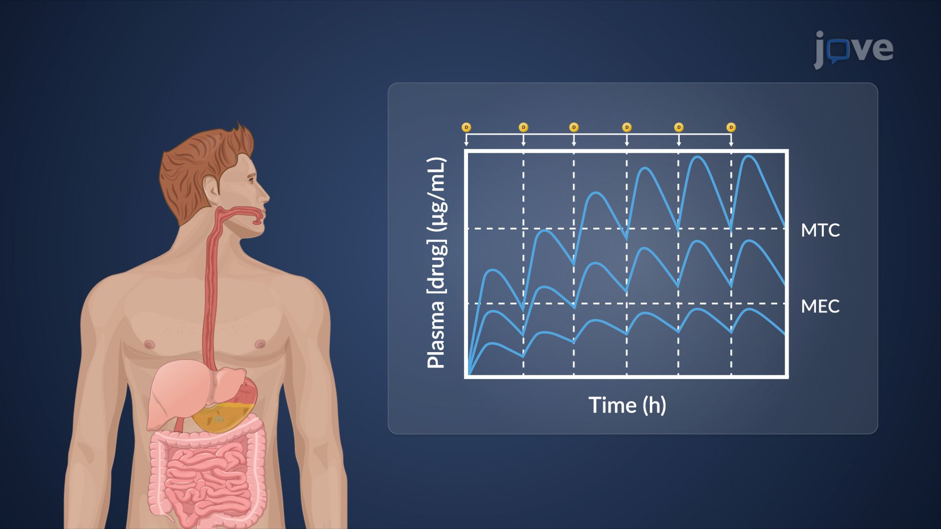 Dosage Regimens: Partial Pharmacokinetic Parameters
