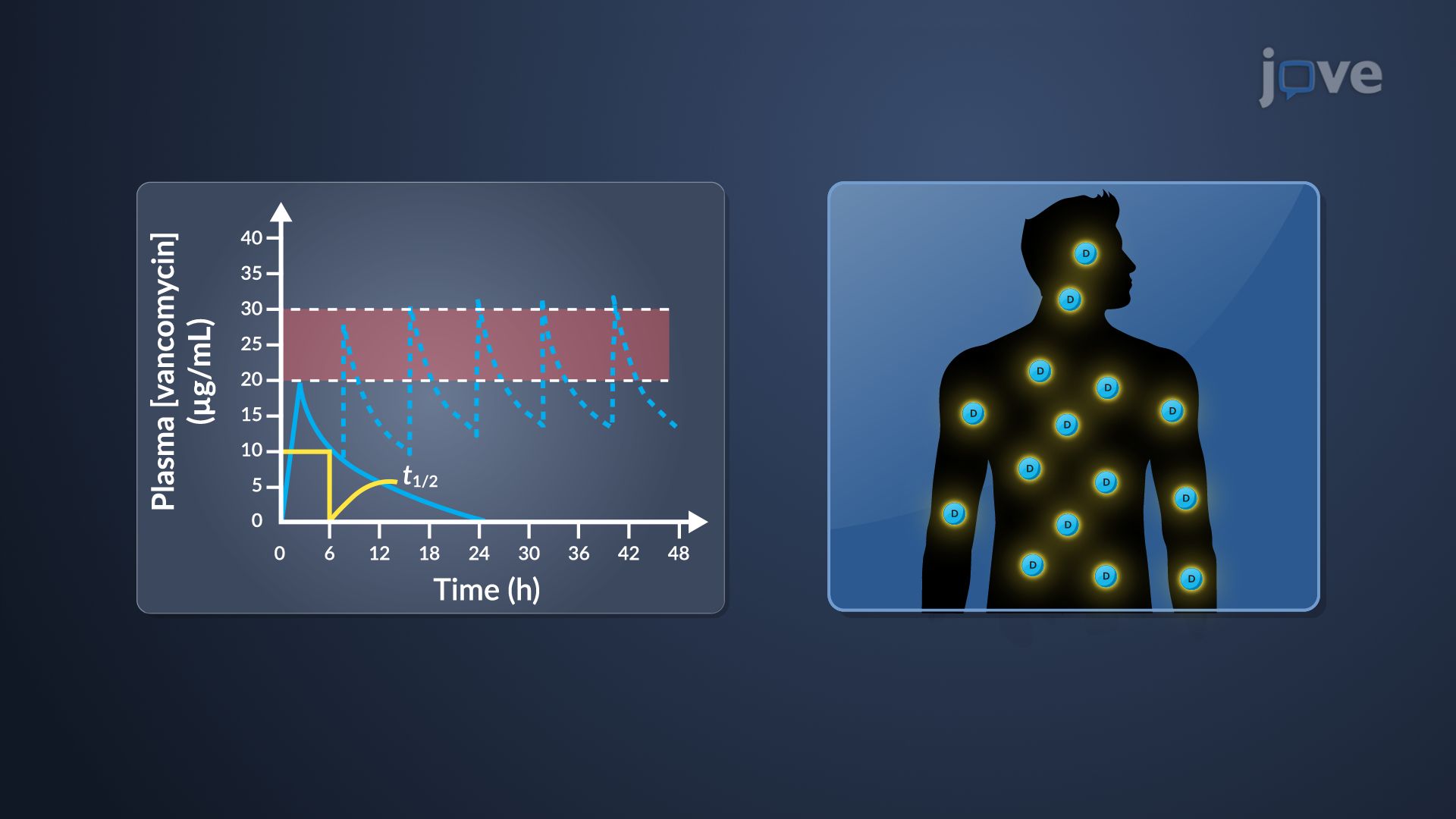 Dosage Interval and Administration Route: Determination Methods