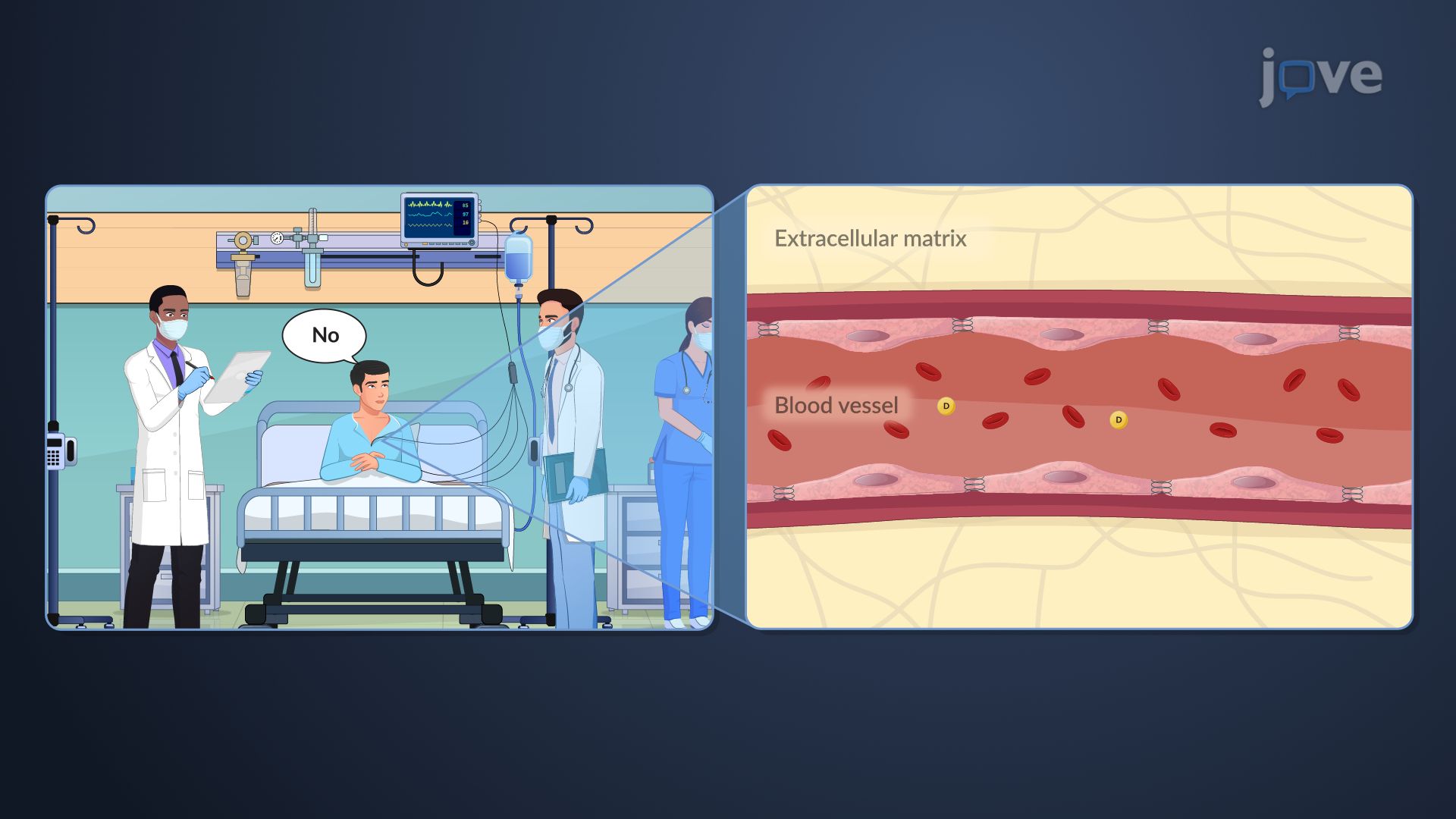 Therapeutic Drug Monitoring: Affecting Factors