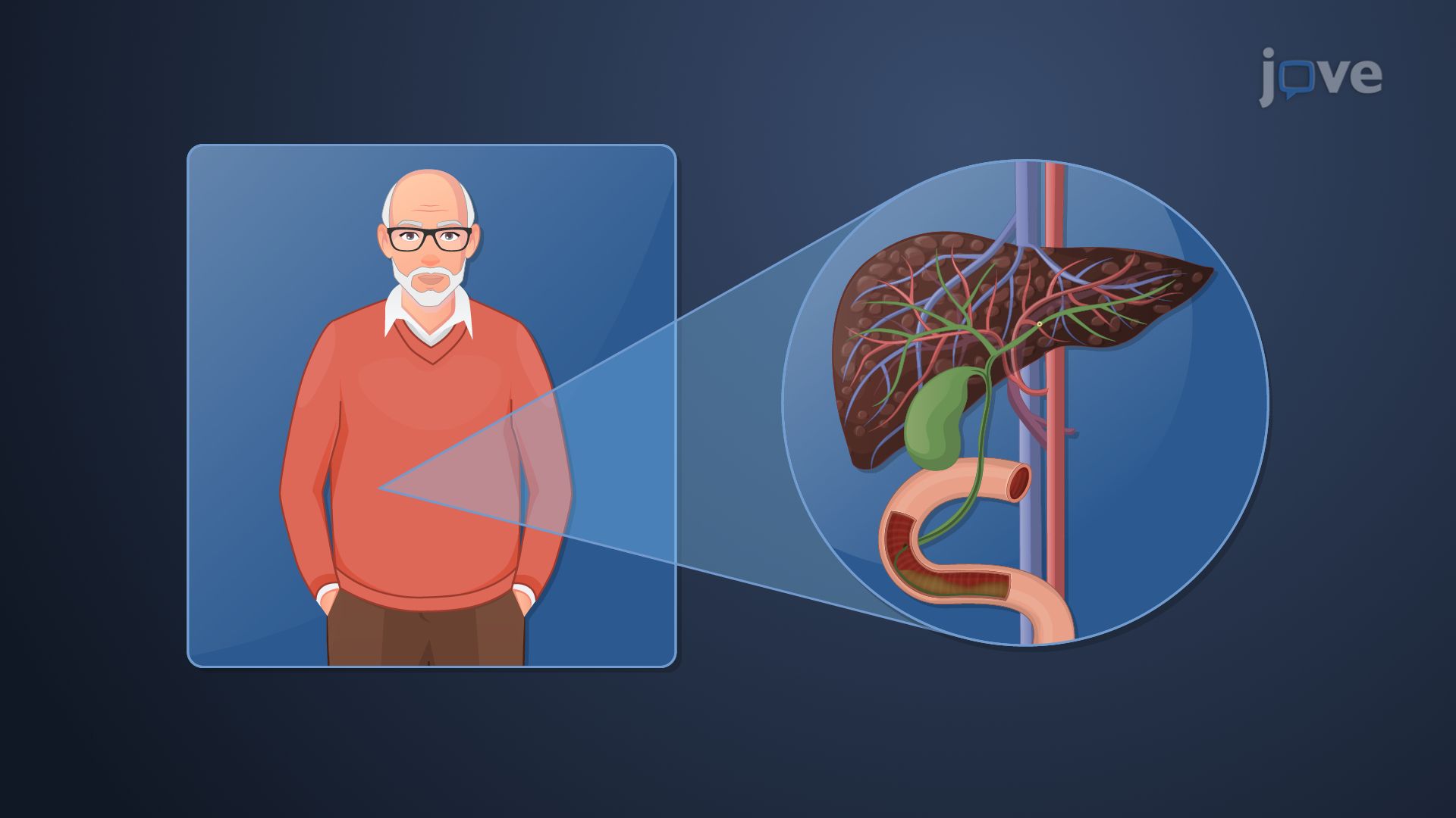 Pharmacokinetics in Geriatric Patients: Effect of Age on Drug Metabolism