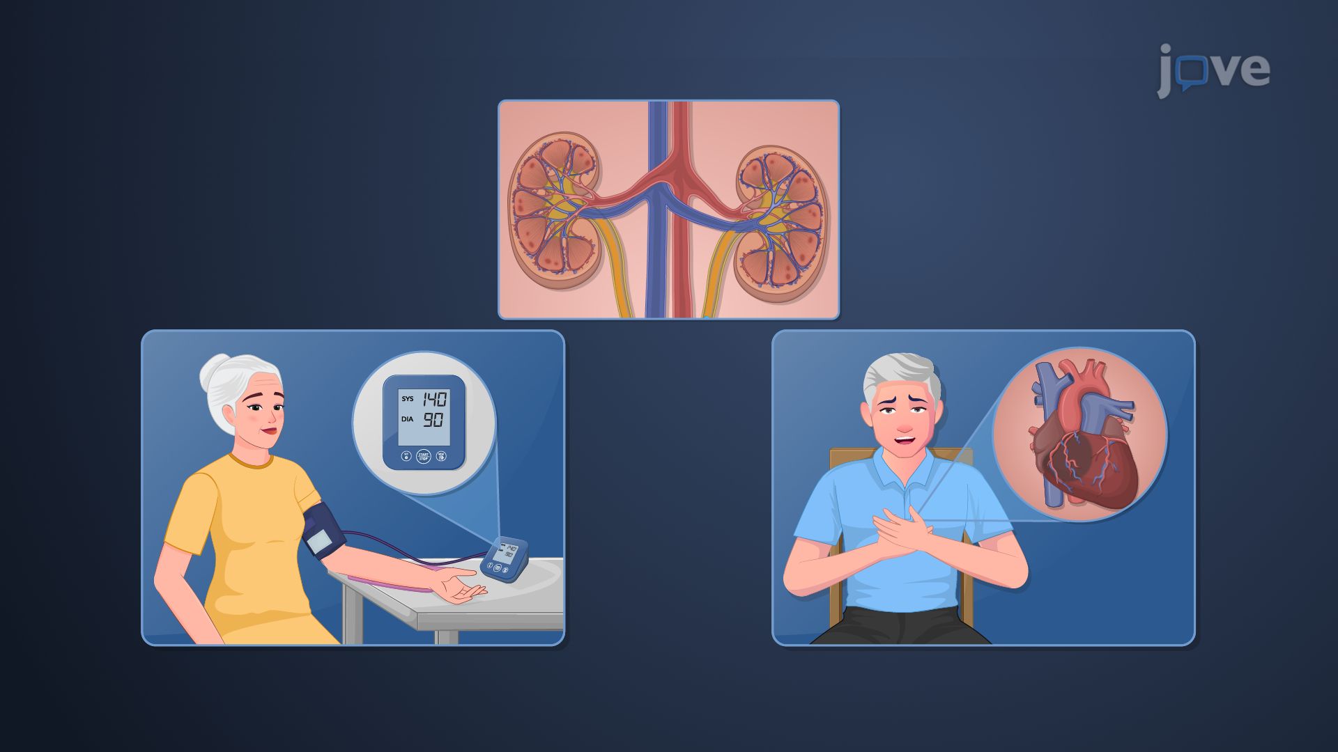 Pharmacokinetics in Geriatric Patients: Effect of Age on Drug Excretion