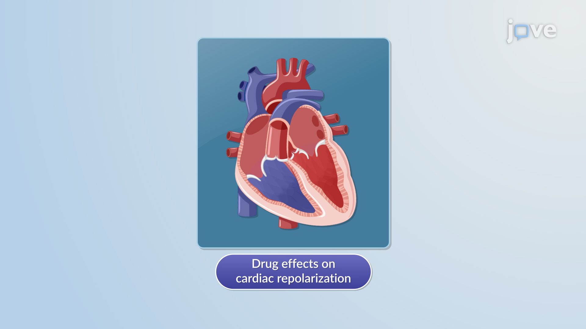 Pharmacodynamic Models: Linear Concentration–Effect Model