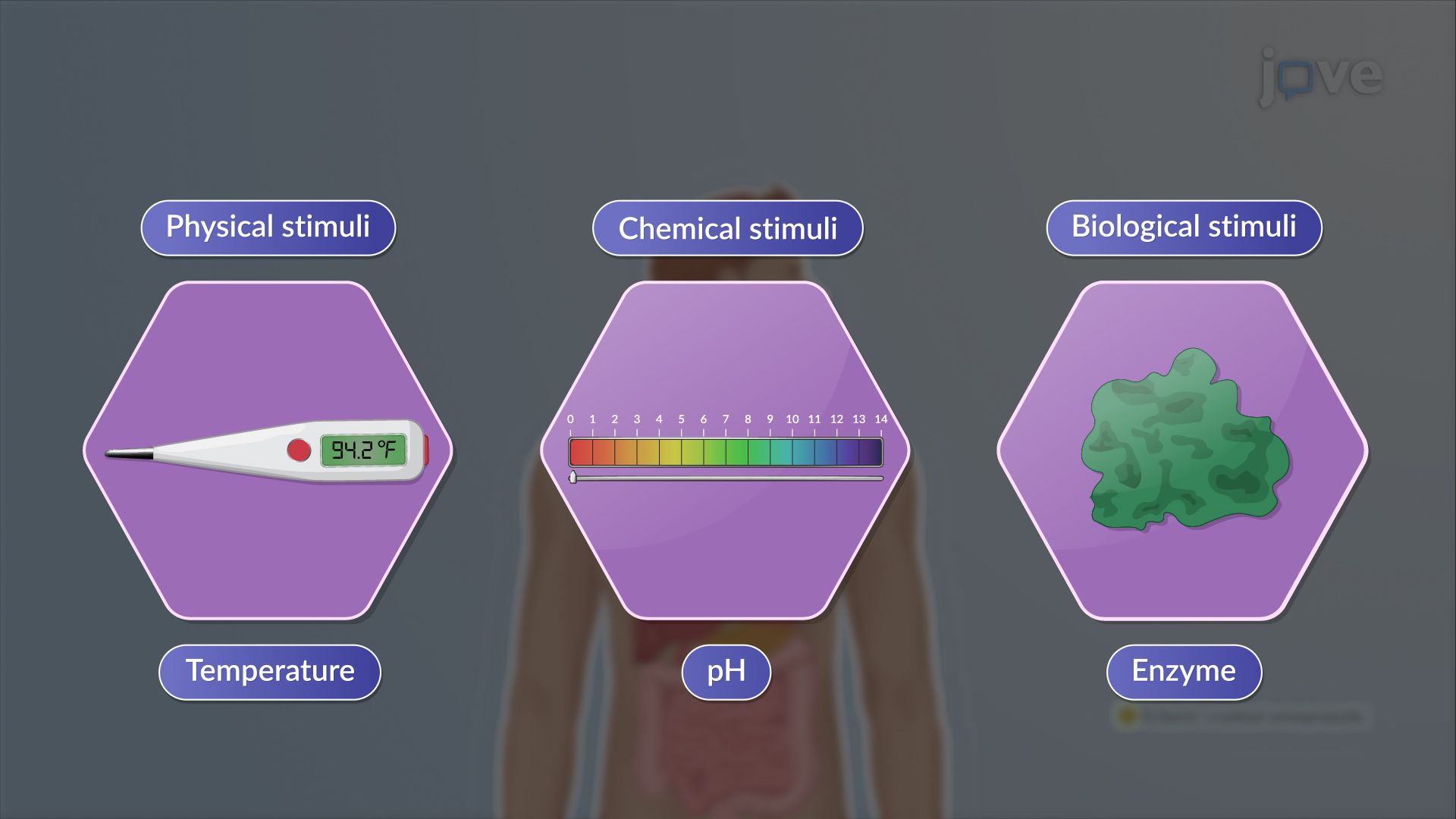 Modified-Release Drug Delivery Systems: Classification