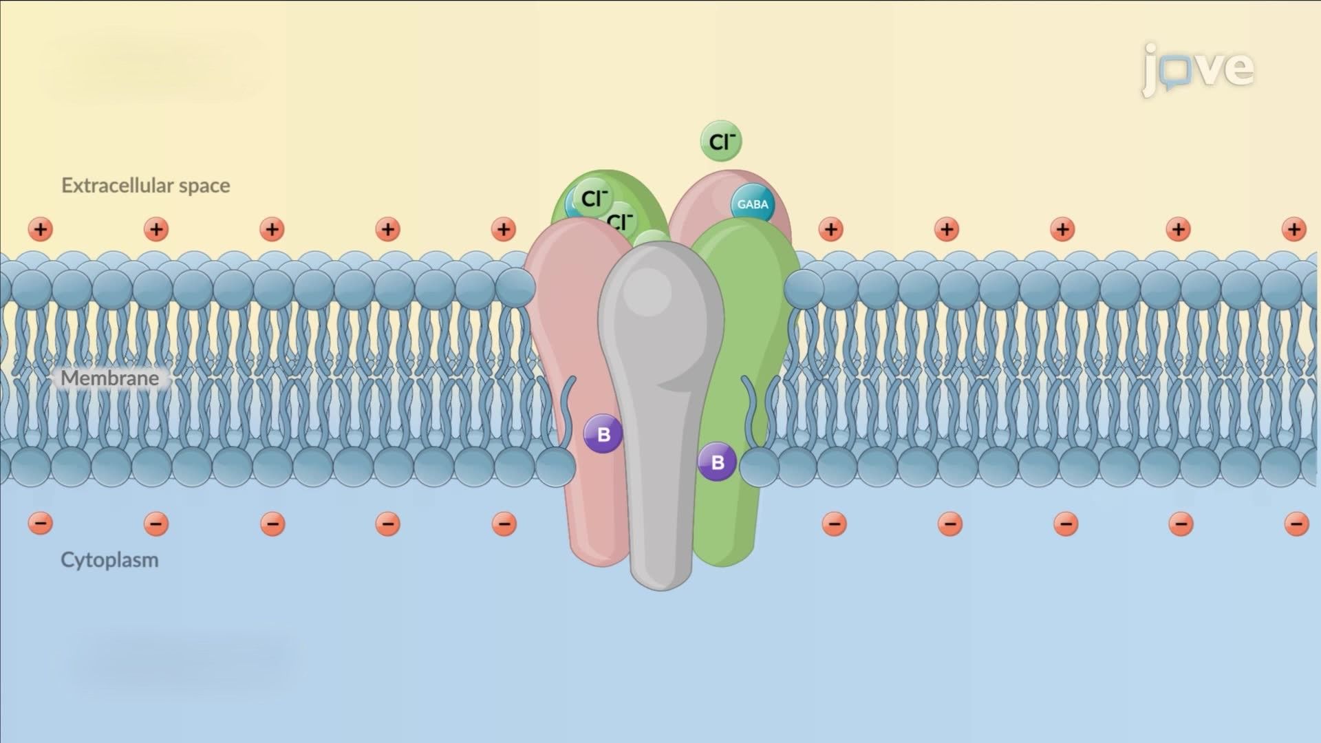Pharmaceutical Poisoning: Potential Scenarios