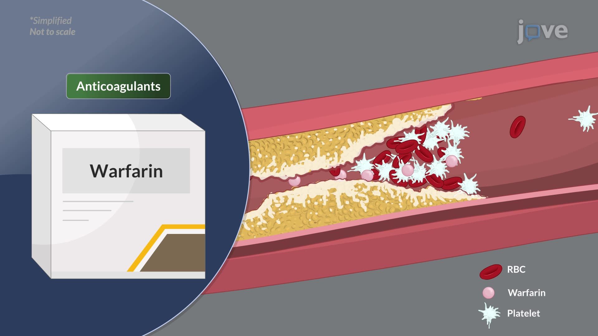 Dysrhythmias VI: Management of Dysrhythmias