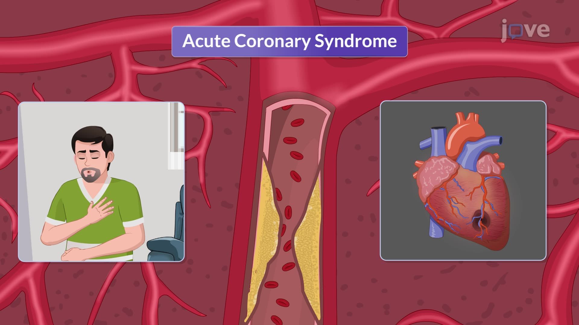 Introduction Cardiac Emergencies
