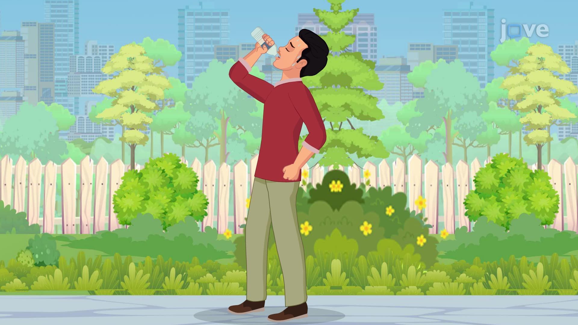 Physiology of the Genitourinary System III: Urine Concentration and Dilution