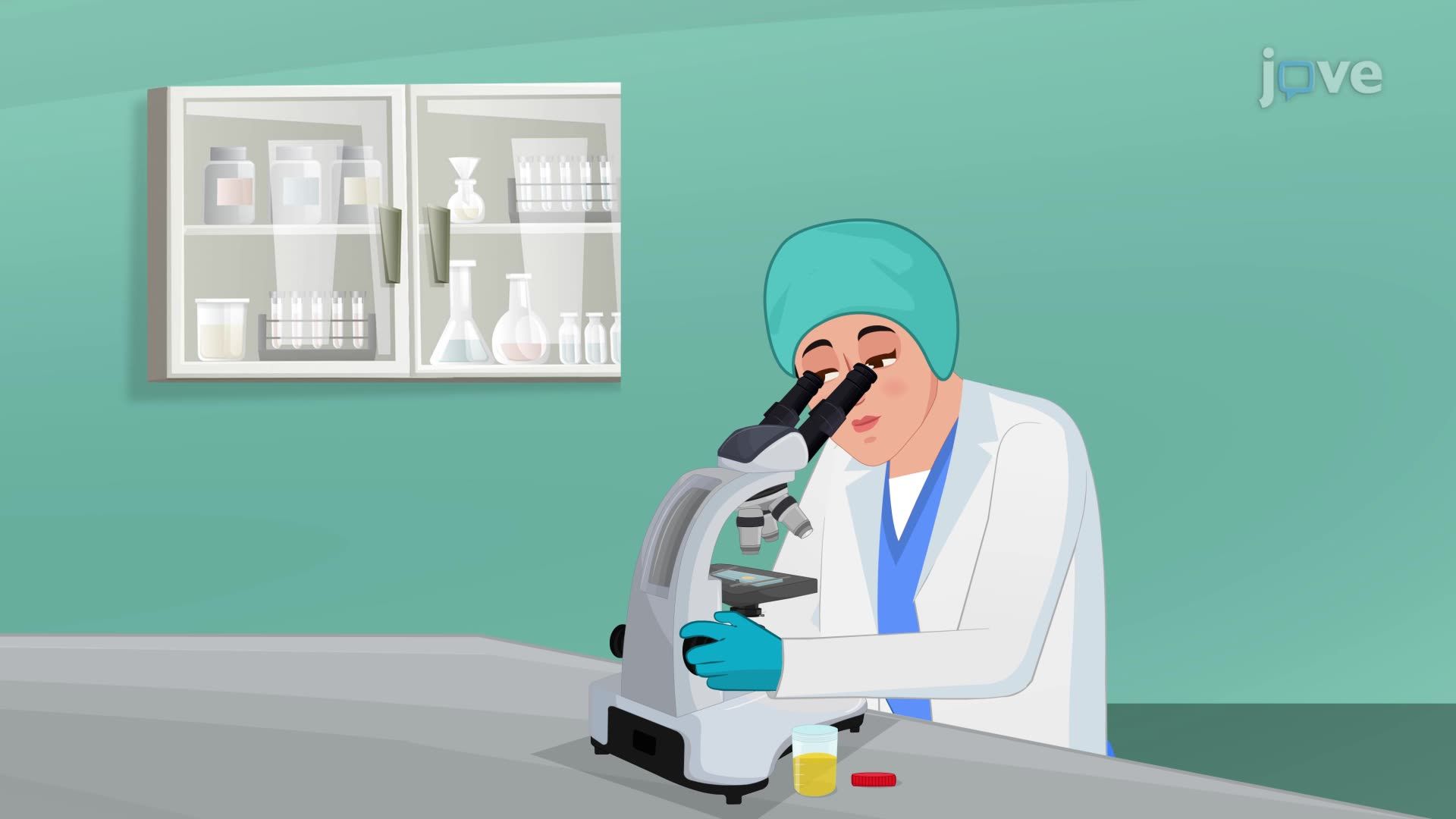 Urinary Tract Infection III: Diagnostic Studies and Interprofessional Care