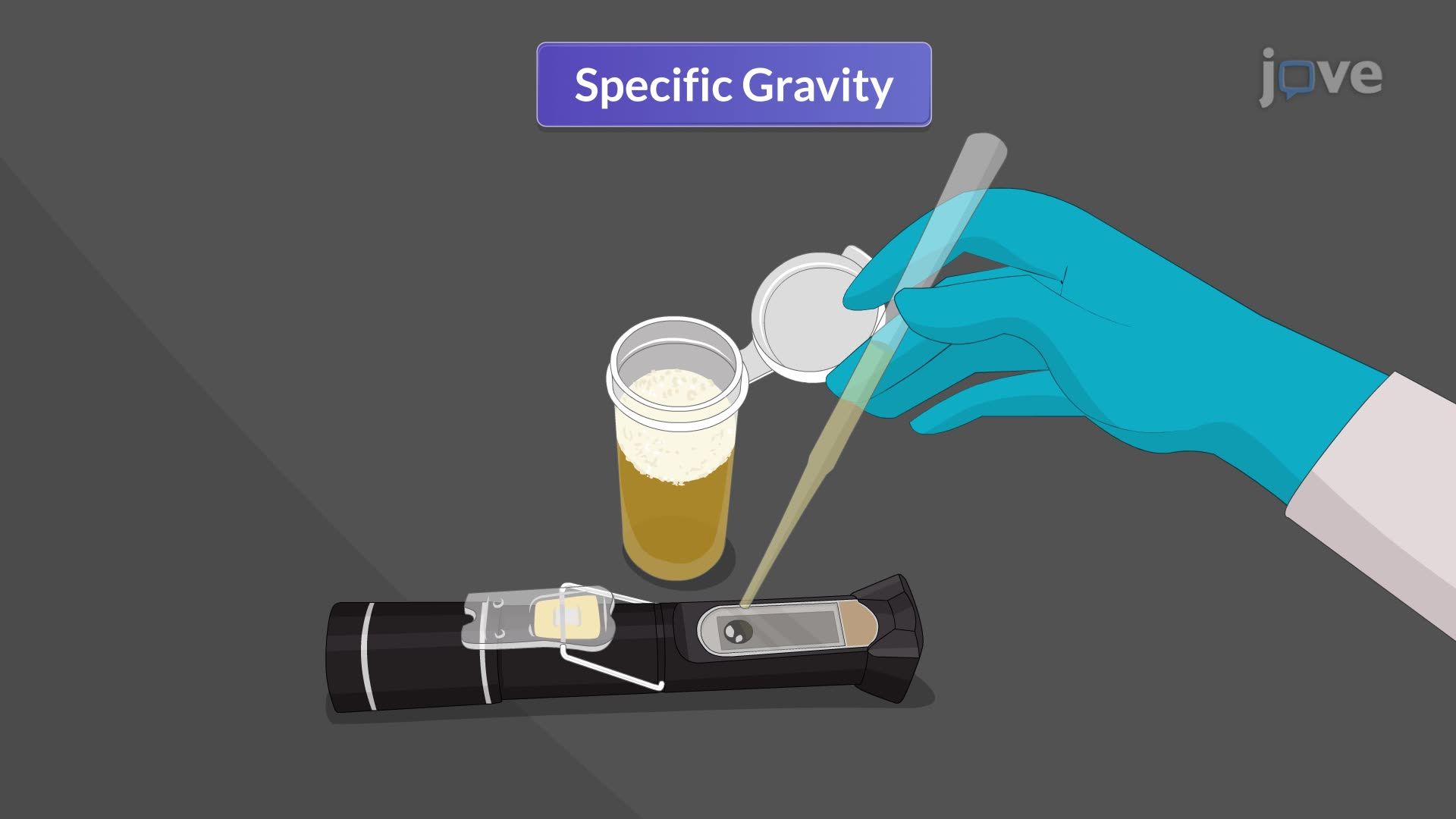 Serum Studies: Renal Function Tests