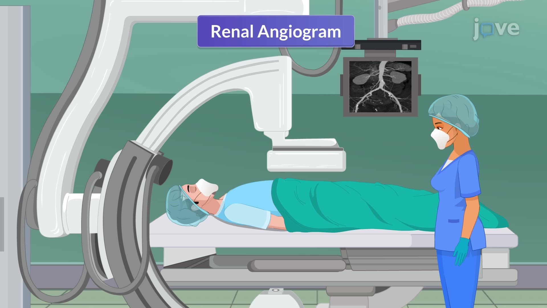 Imaging Studies VII: Vascular Imaging