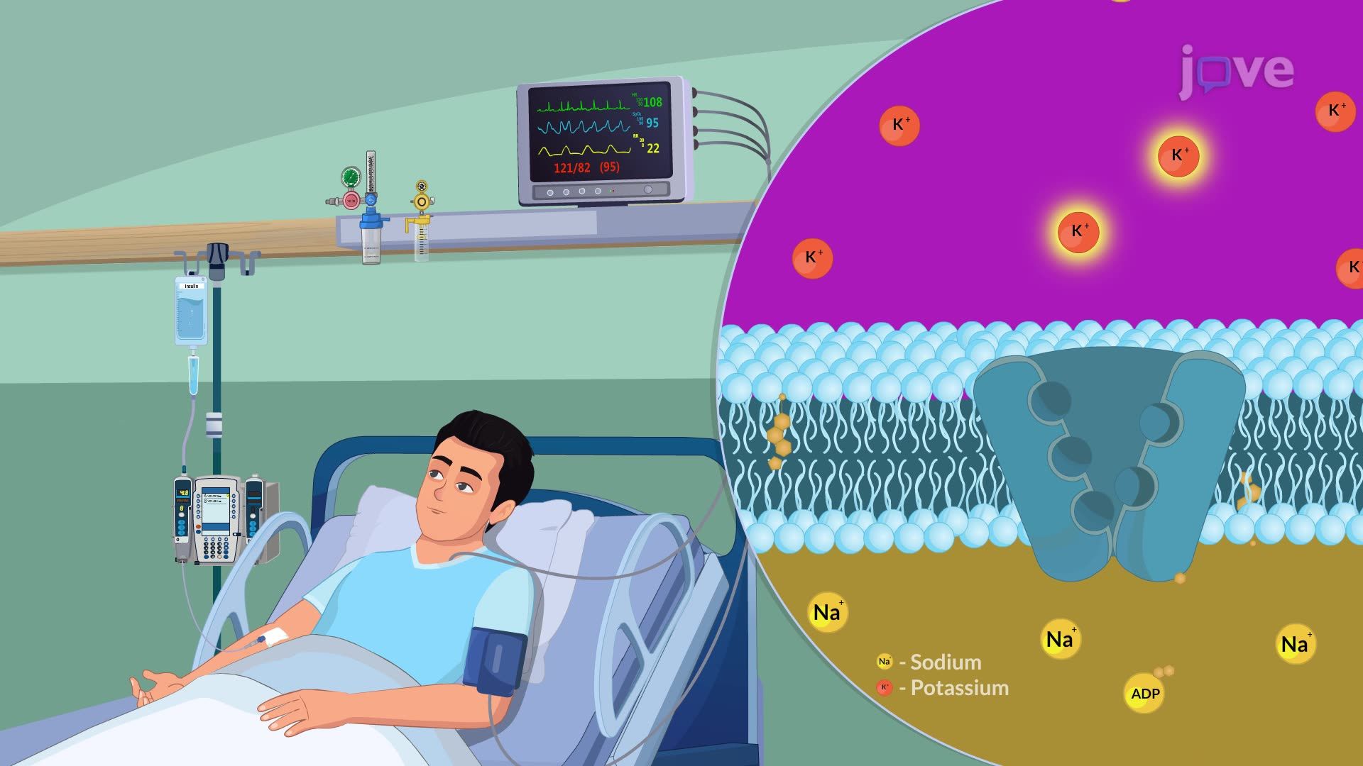 Acute Kidney Injury V: Interprofessional Care