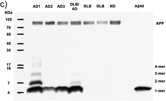 Figure 1c