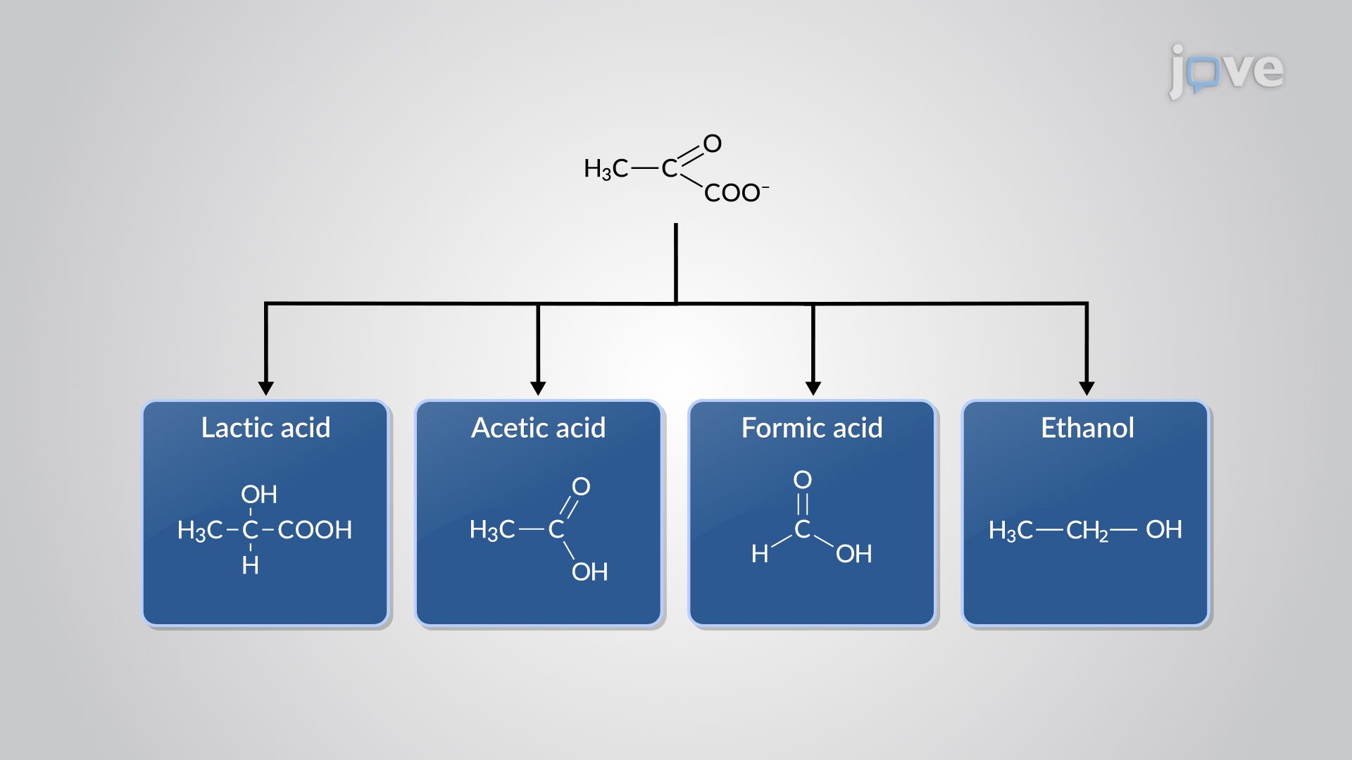 Microbial Fermentation