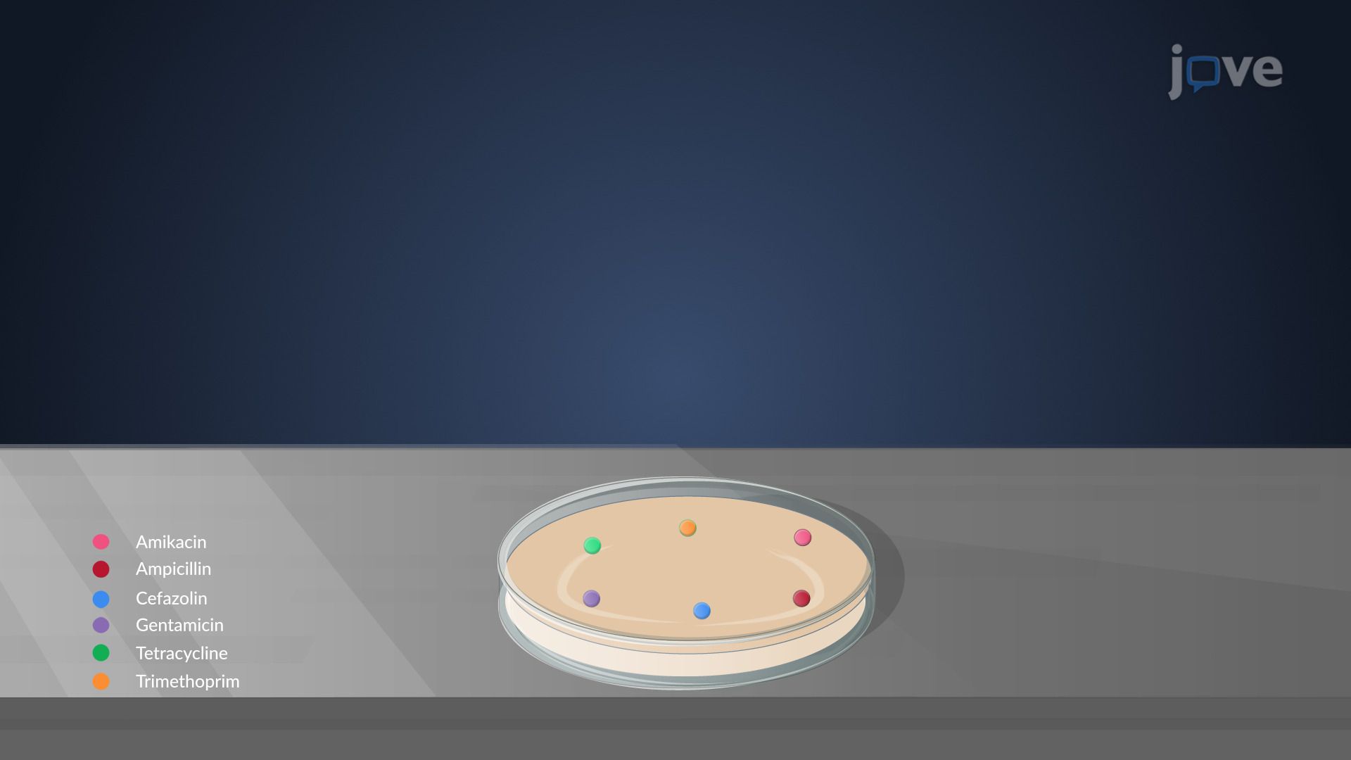 Antimicrobial Effectiveness