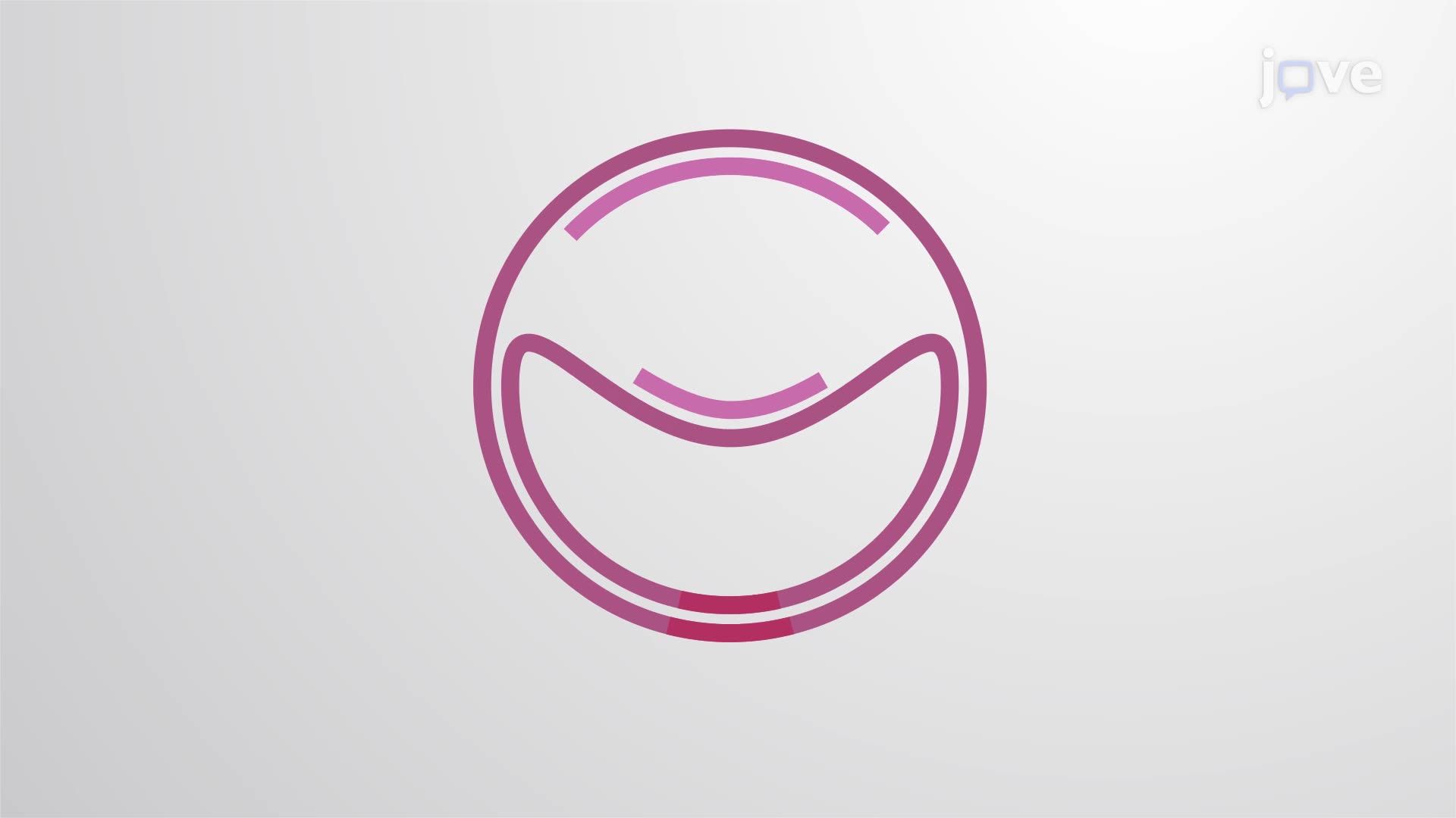 Video: Prokaryotic DNA Replication