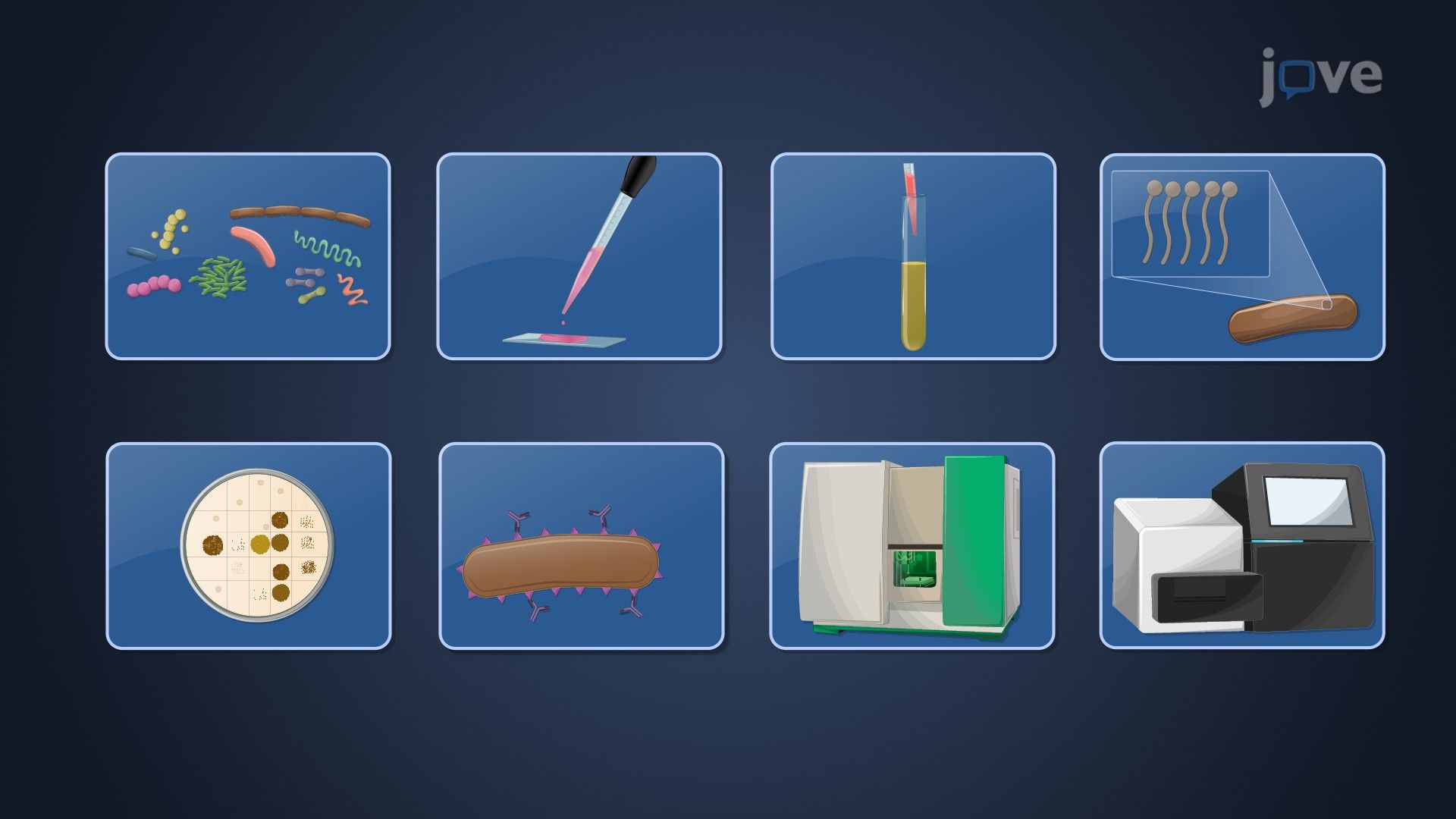 Video: Methods of Classification and Identification