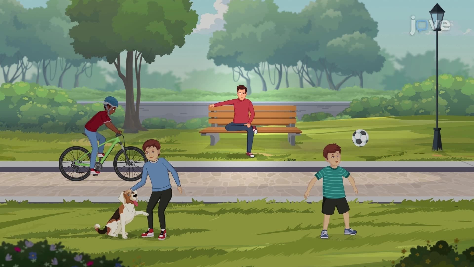 Scientific Nature of Social Psychology