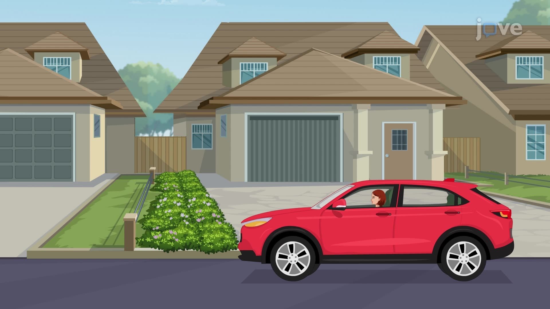 Self Within Cultural Contexts