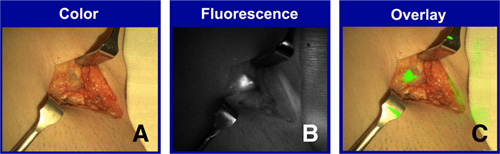 Figura 3