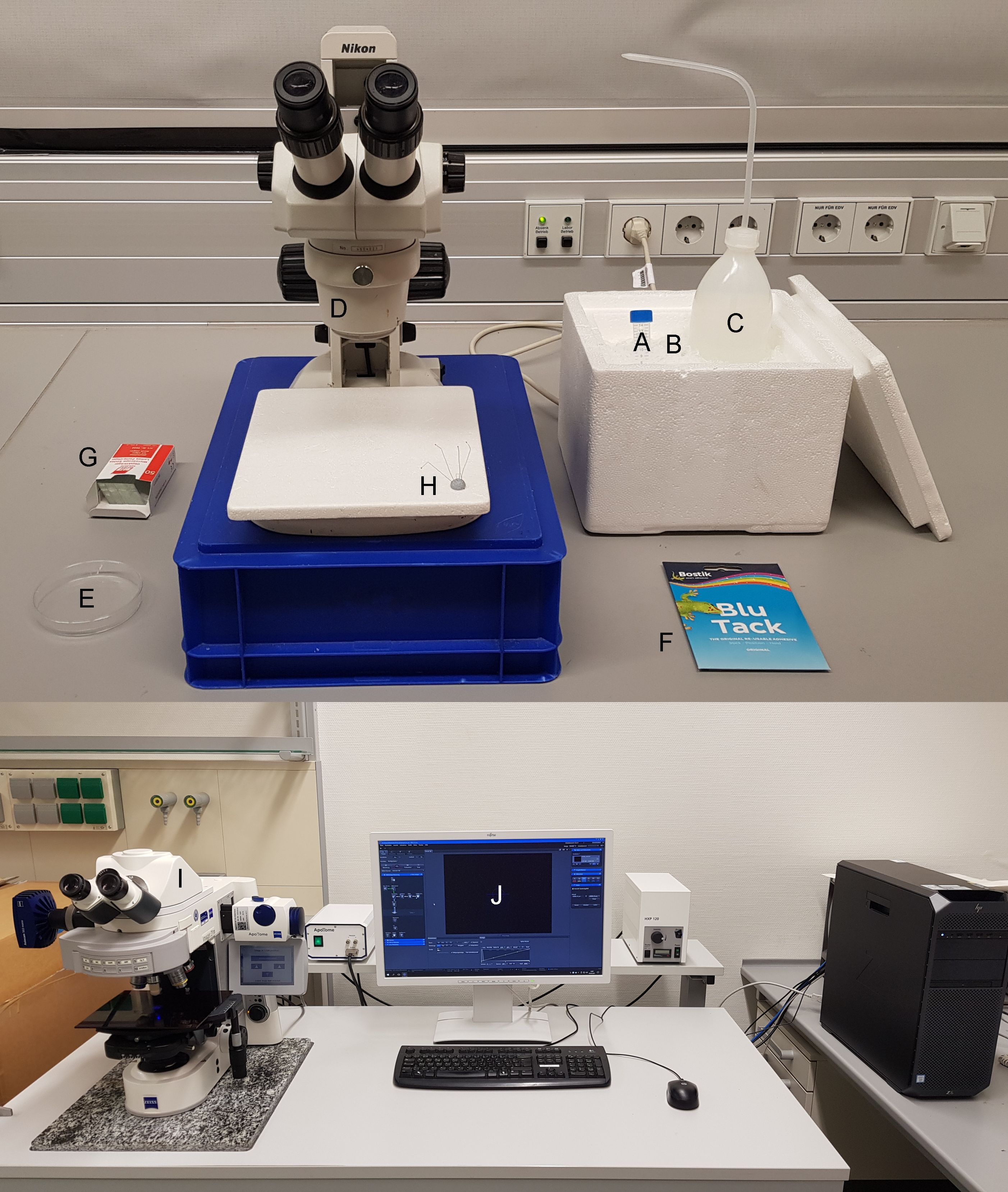 Microscopy setup for optical analysis with Nikon stereo microscope; experiment station.