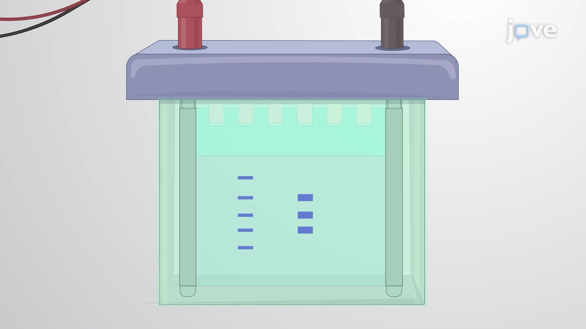 Detecting Histone Modifications in Yeast Cells with Neurodegenerative Protein Overexpression