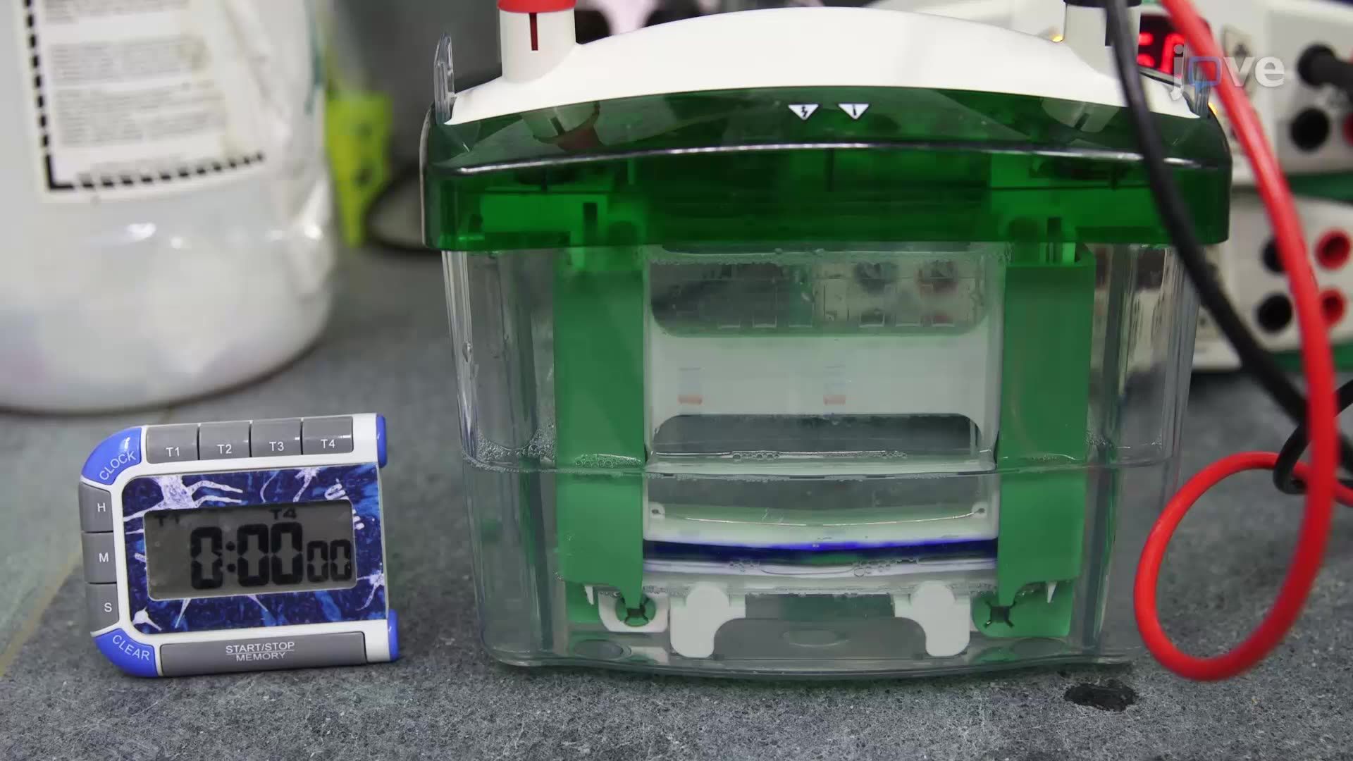 Detecting Histone Modifications in Yeast Cells with Neurodegenerative Protein Overexpression