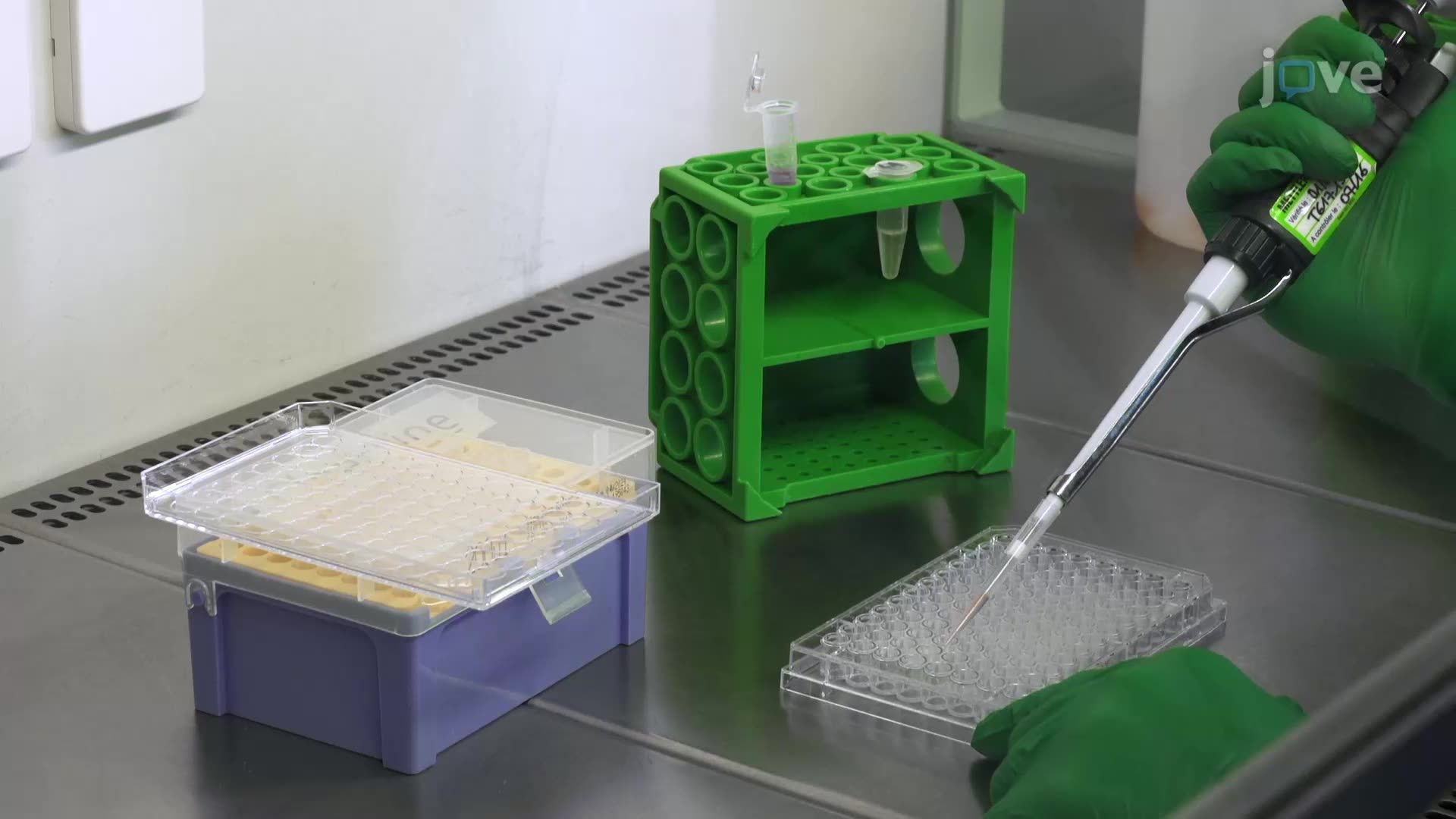 Generation of a Three-Dimensional Spheroid Model of Tumor Cell Invasion