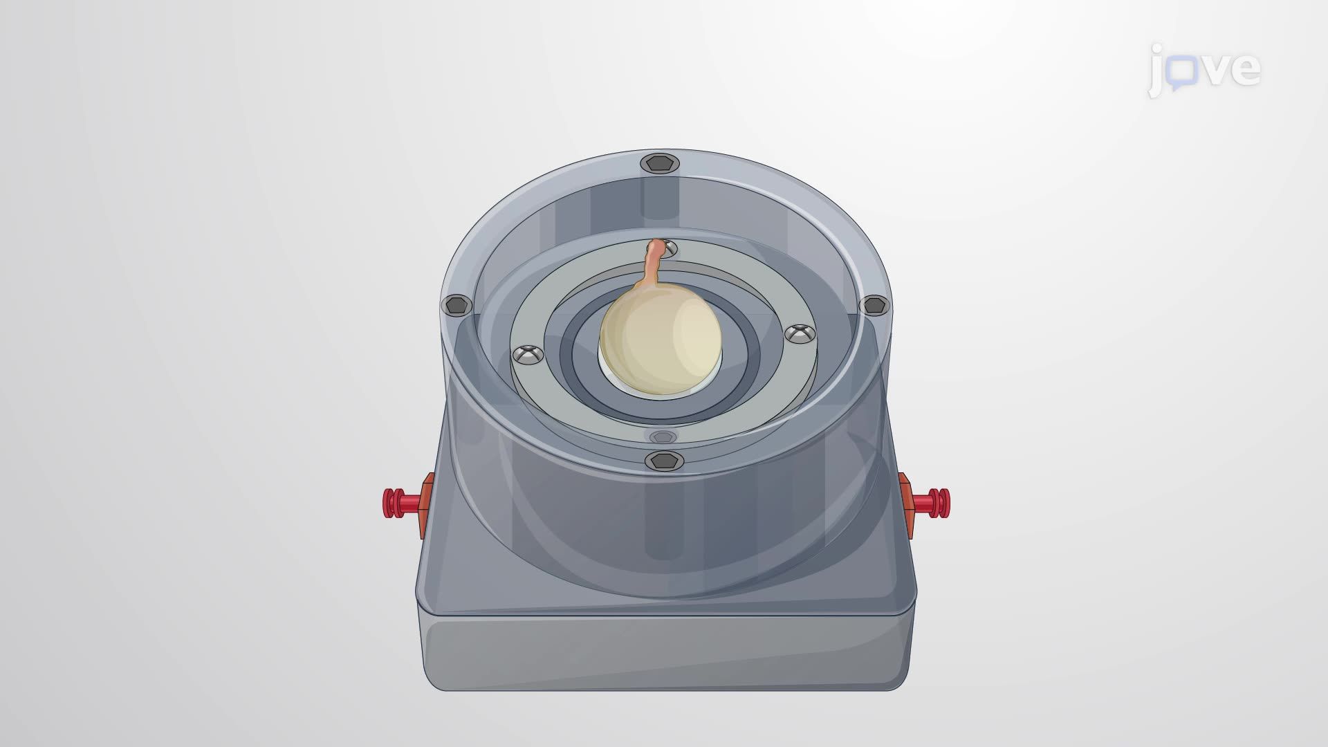 Developing a Translaminar Pressure Model Using a Translaminar Autonomous System