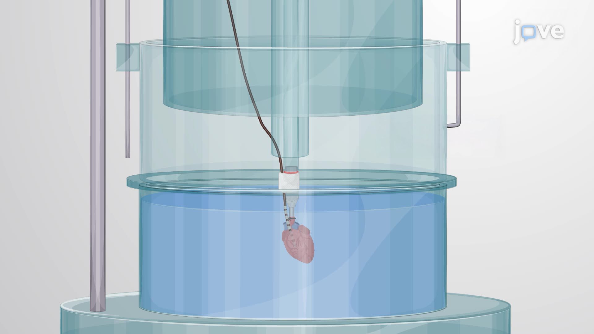 Stimulation of the Intracardiac Nervous System to Assess Susceptibility to Arrhythmia