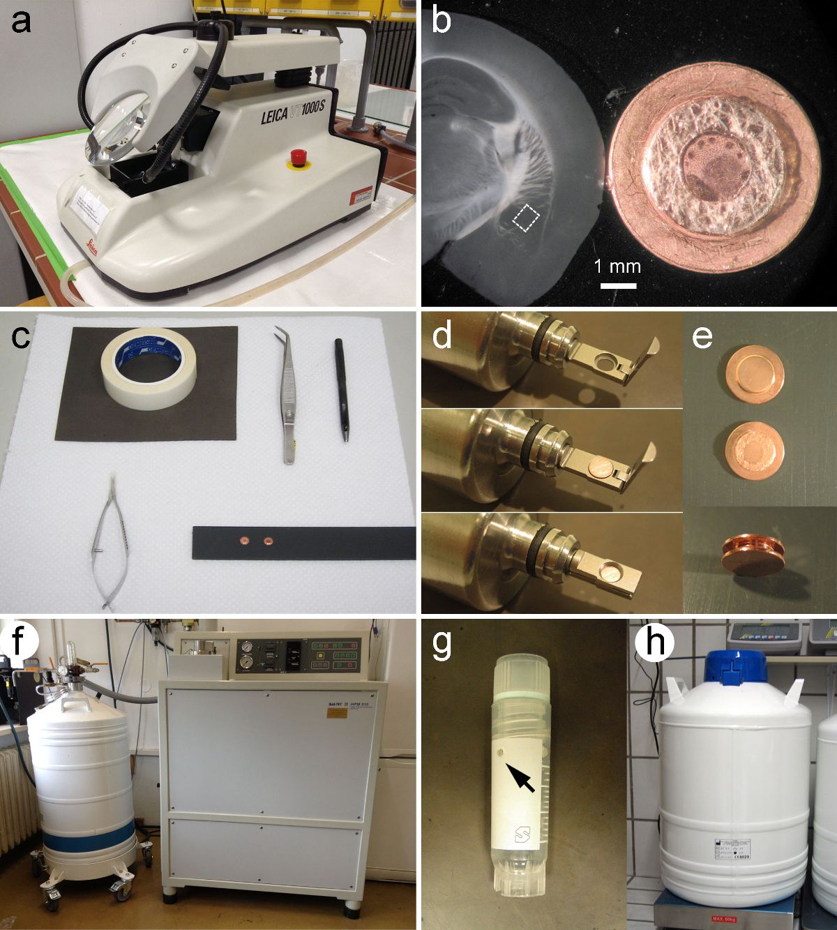 Cryogenic preparation and analysis setup; equipment, microtome, samples, and Dewar flask.