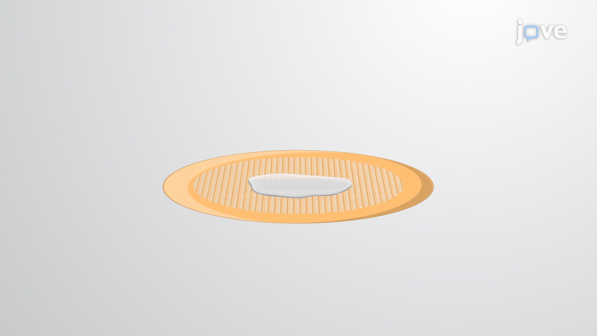 Immunolabeling of Neuronal Membrane Proteins in a Freeze-fractured Specimen of Mouse Brain Tissue