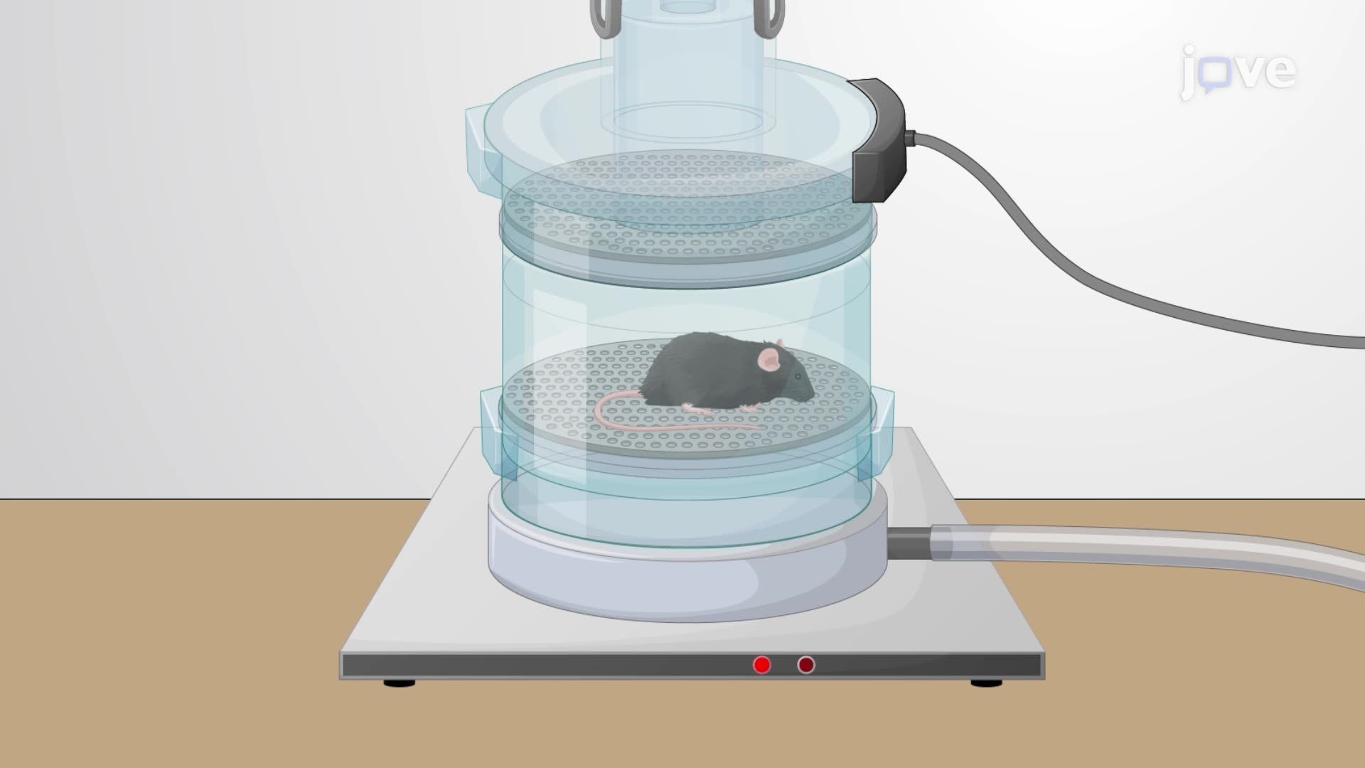 Simultaneous Plethysmography and Electromyography Recording in an ALS Mouse Model