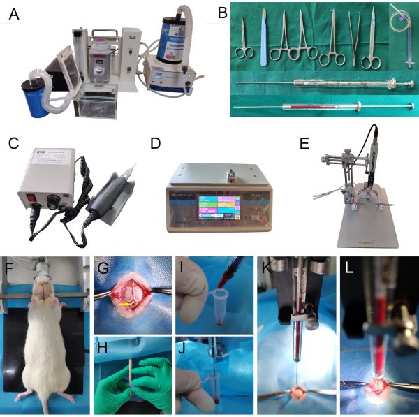 Laboratory surgical equipment, animal surgery steps, and data collection for biomedical research.