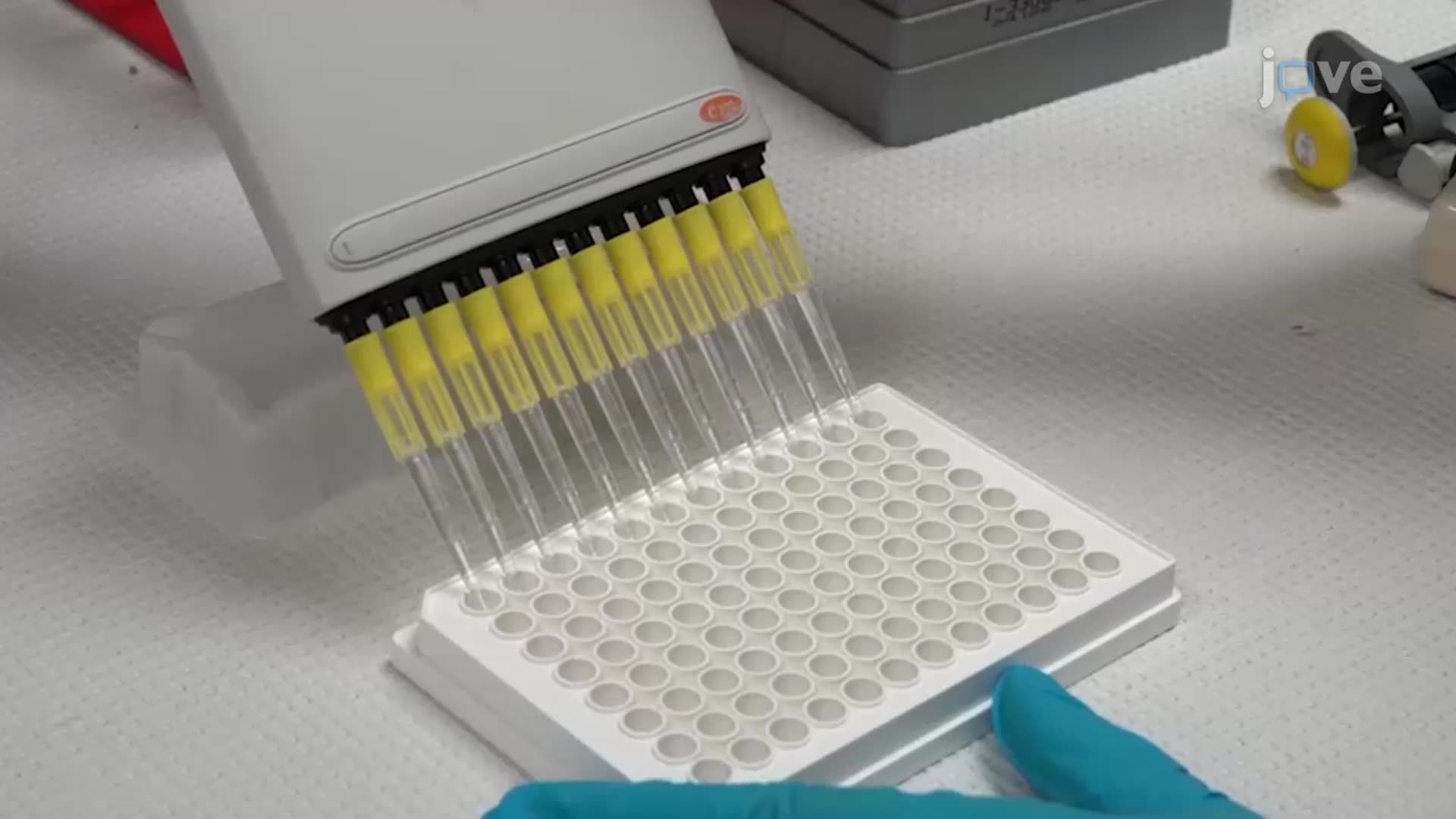 Real-Time Monitoring of Odorant Receptor Activation in Recombinant Cells